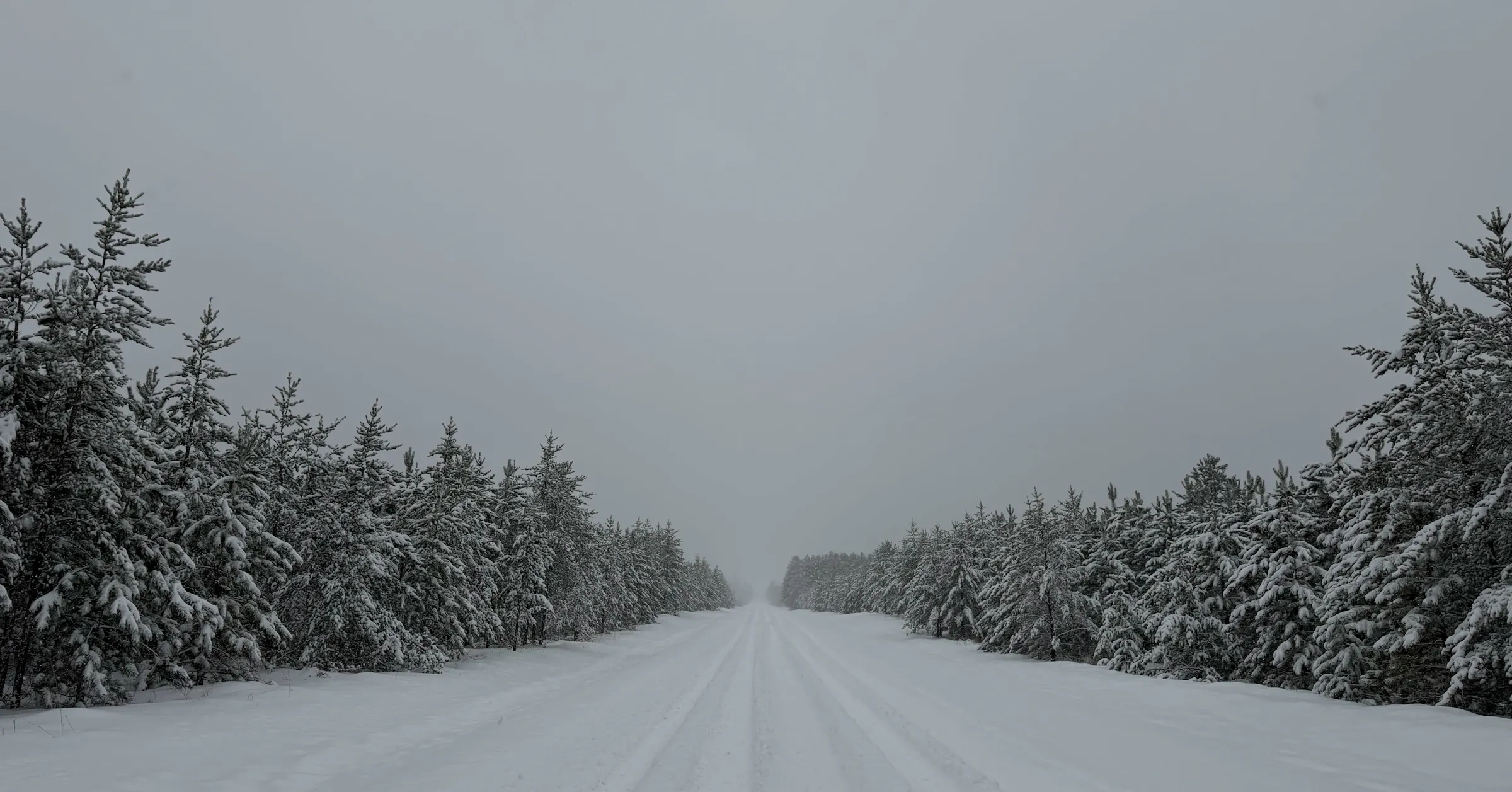 Frühlingssturm bringt Schnee in den Norden Minnesotas