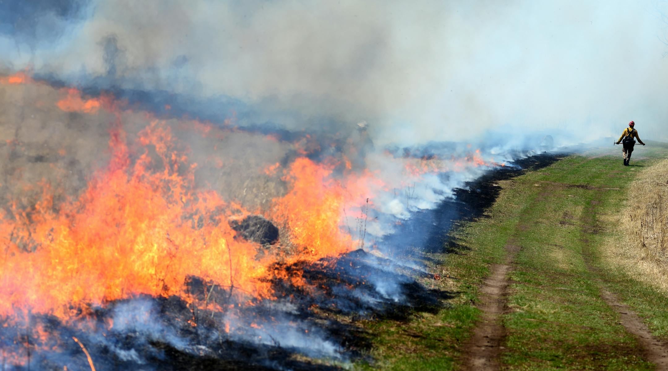 . ] The controlled burn at Minnesota Valley National Wildlife Refuge targeted about 200 acres of oak savannah and native prairie grass. Richard.Sennott@startribune.com Richard Sennott/Star Tribune Shakopee Minn. Thursday 5/05/2014) ** (cq)