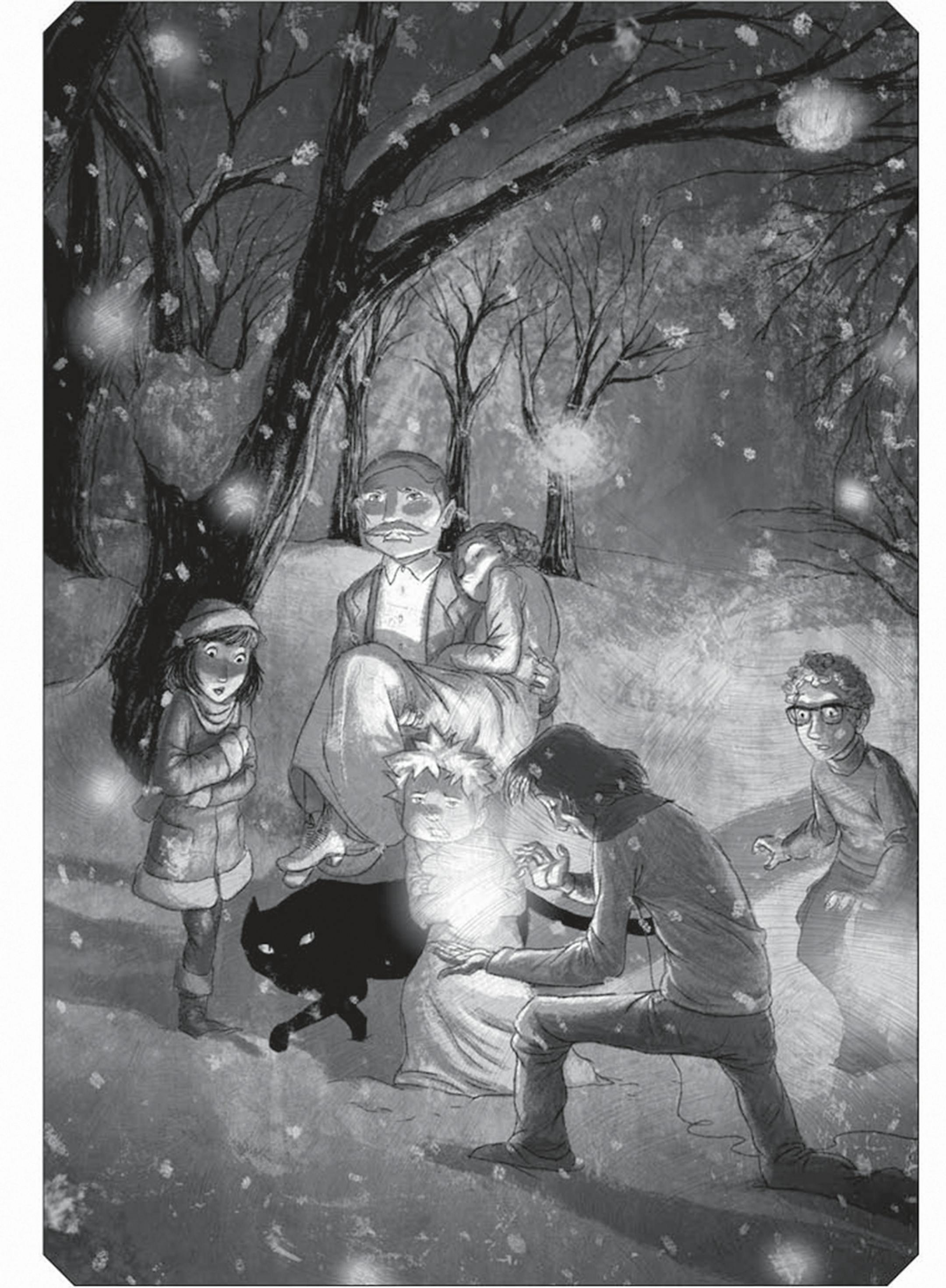 Illustration by Poly Bernatene from "Still Life" by Jacqueline West