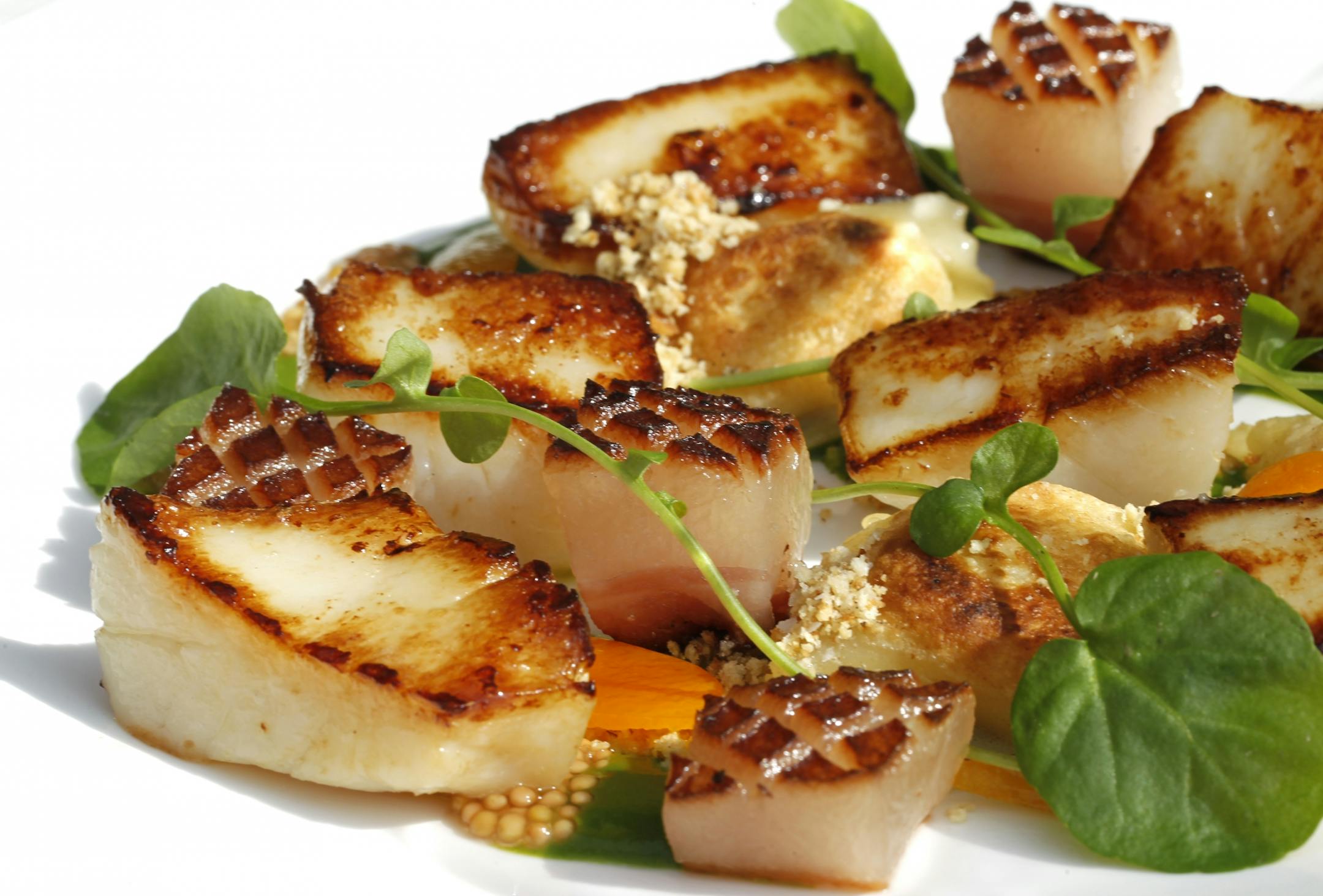 The food: Scallops, Pan seared with sour cream pierogies smoke quanciale and pickeled mustard seeds. _ Shinders redone. The Rick Nelson Review of the Union Bar, downtown Minneapolis. The chef, Jim Christiansen