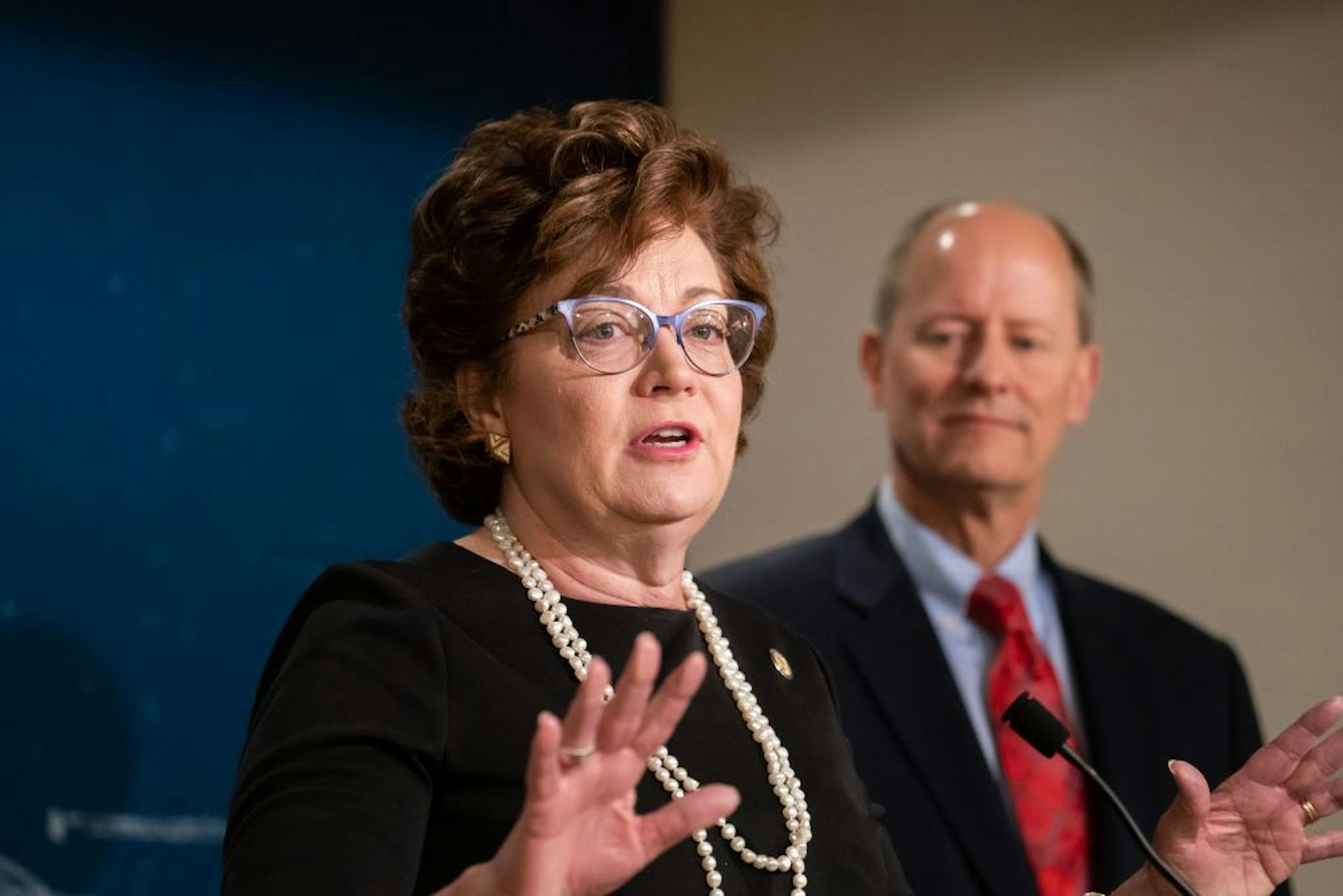 Senate Majority Leader Paul Gazelka listened as Sen Carla Nelson, R-Rochester and Chair of the E-12 Finance and Policy Committee, talked about her education bill.