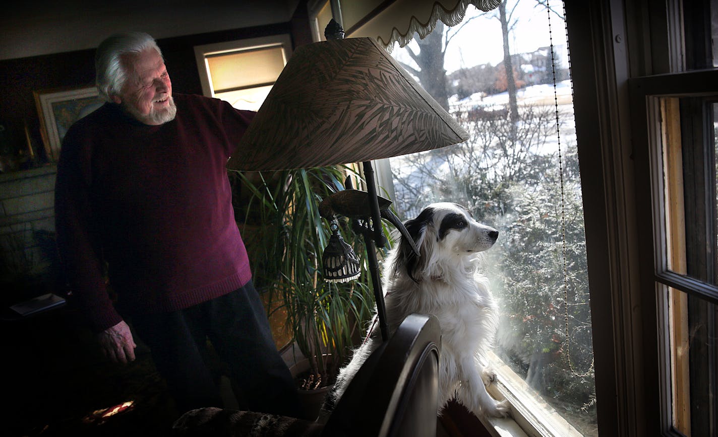 April is a two-year-old English Setter and Border Collie mix. April (pictured with one of her owners, Allan Robinson) suffered a seizure after eating compost from a neighbor's house. Allan and Susanne Robinson are working to get the city's ordinance regarding compost tightened. They're enlisting the help of council members to add rules about covers for compost bins and piles and where compost can be located. ] JIM GEHRZ &#xef; james.gehrz@startribune.com / Minneapolis, MN / February 26, 2015 /1: