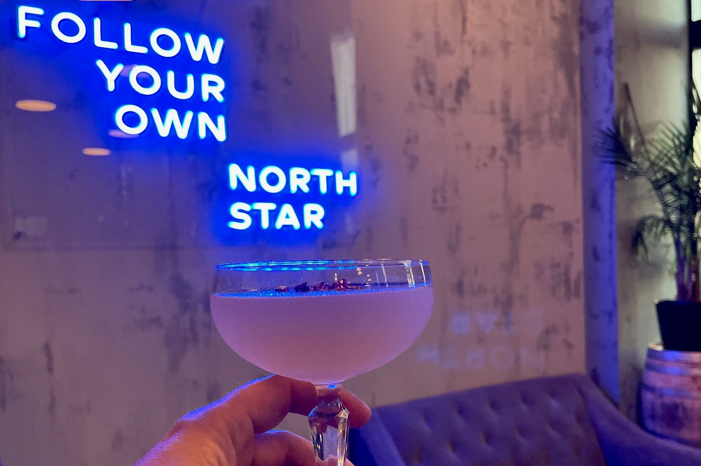 A lavender colored cocktail in a coup glass is held in front of a blue neon sign on a concrete wall that says, "Follow Your Own North Star."