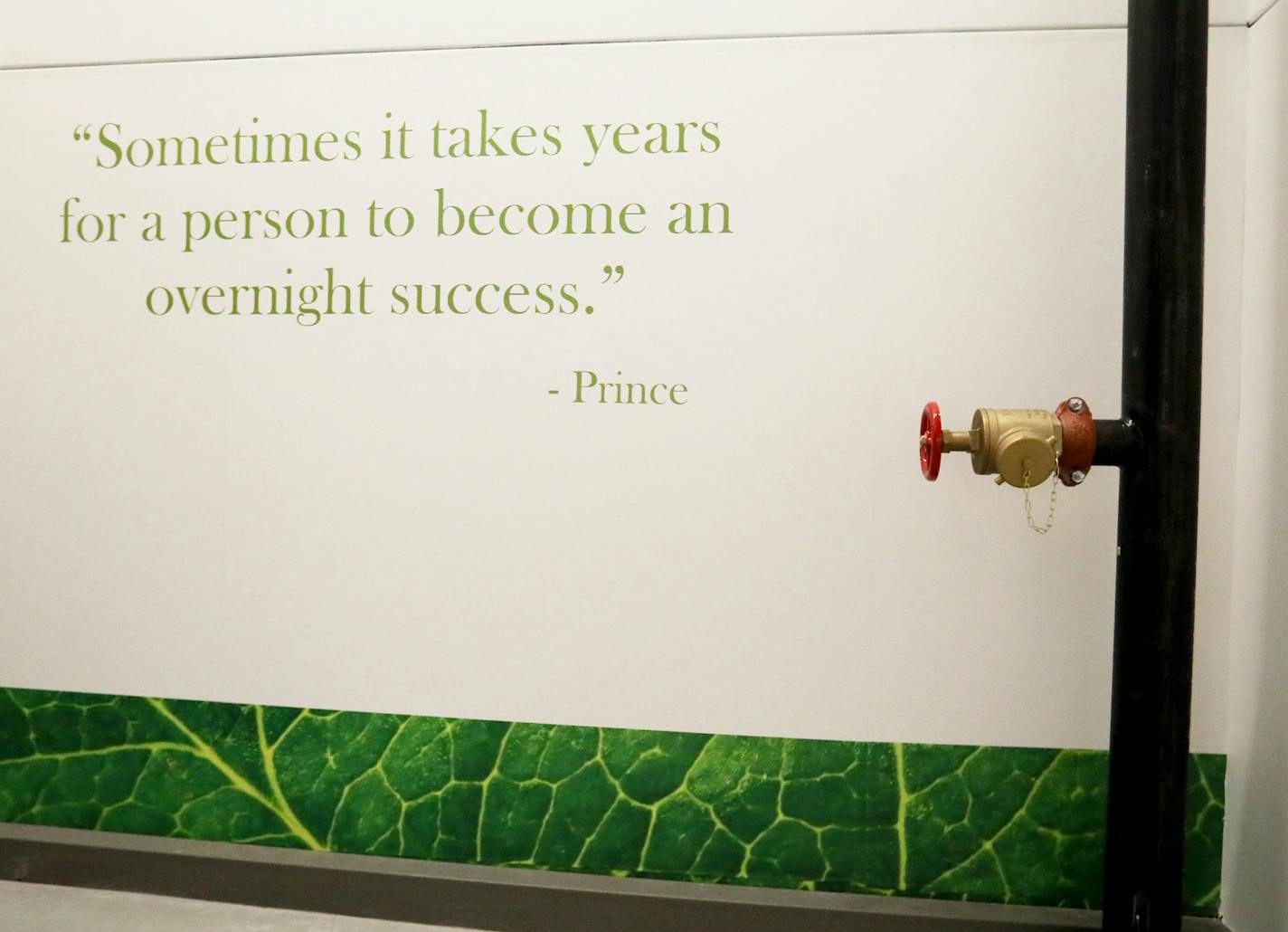 In the stairwell hallway on each floor are quotes from famous Minnesotans, including this one from Prince on the fifth floor of the 428 Building, once the old Woolworth's store, and seen Wednesday, Aug. 15, 2018, in St. Paul, MN.] DAVID JOLES &#xef; david.joles@startribune.com Tour of the 428 Building, including the Wellworth co-working space that is close to opening in the former Woolworth's store in downtown St. Paul.**Patricia Wolf, Jamie Rissi, cq