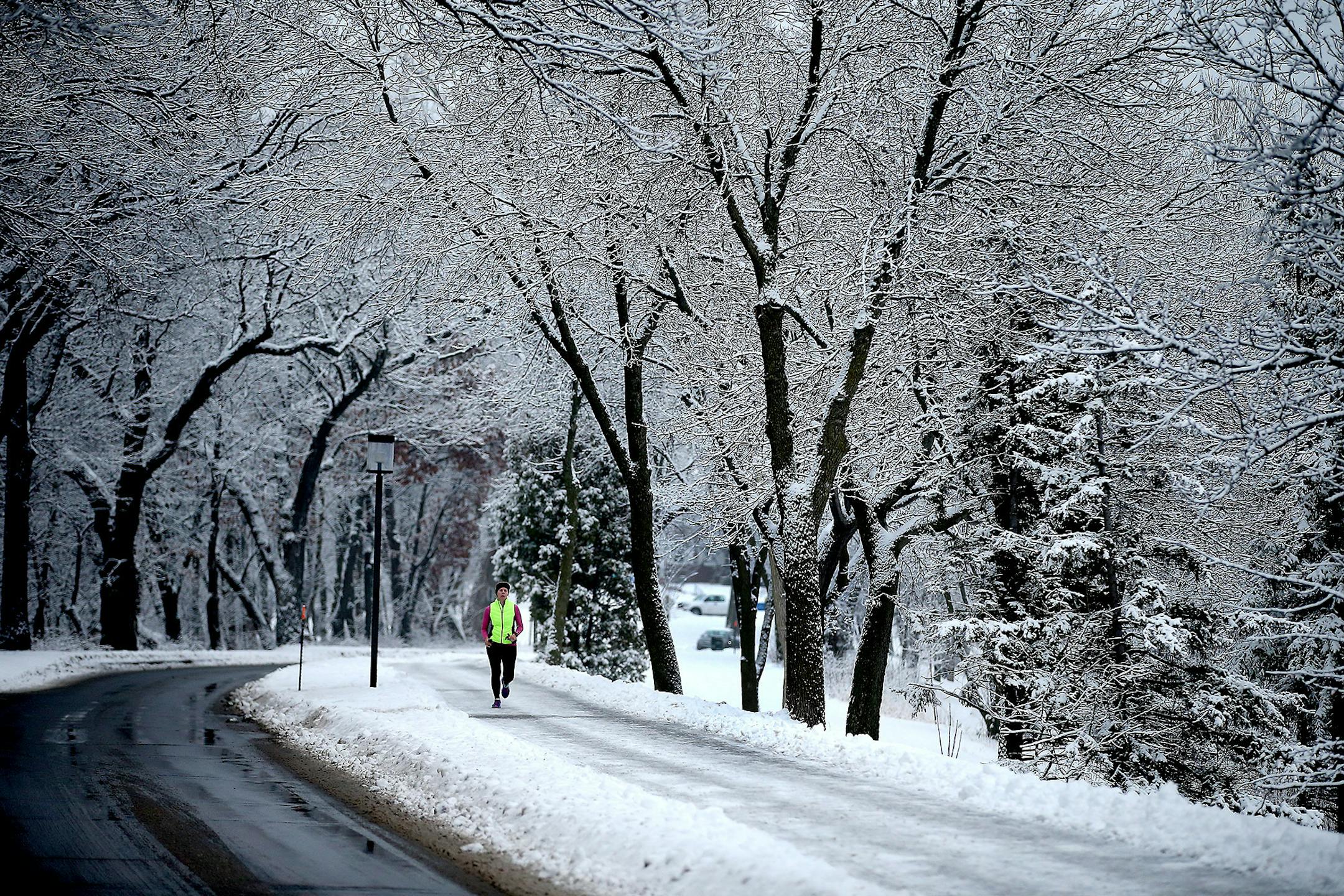 What snow looked like in the Twin Cities on Jan. 8.
