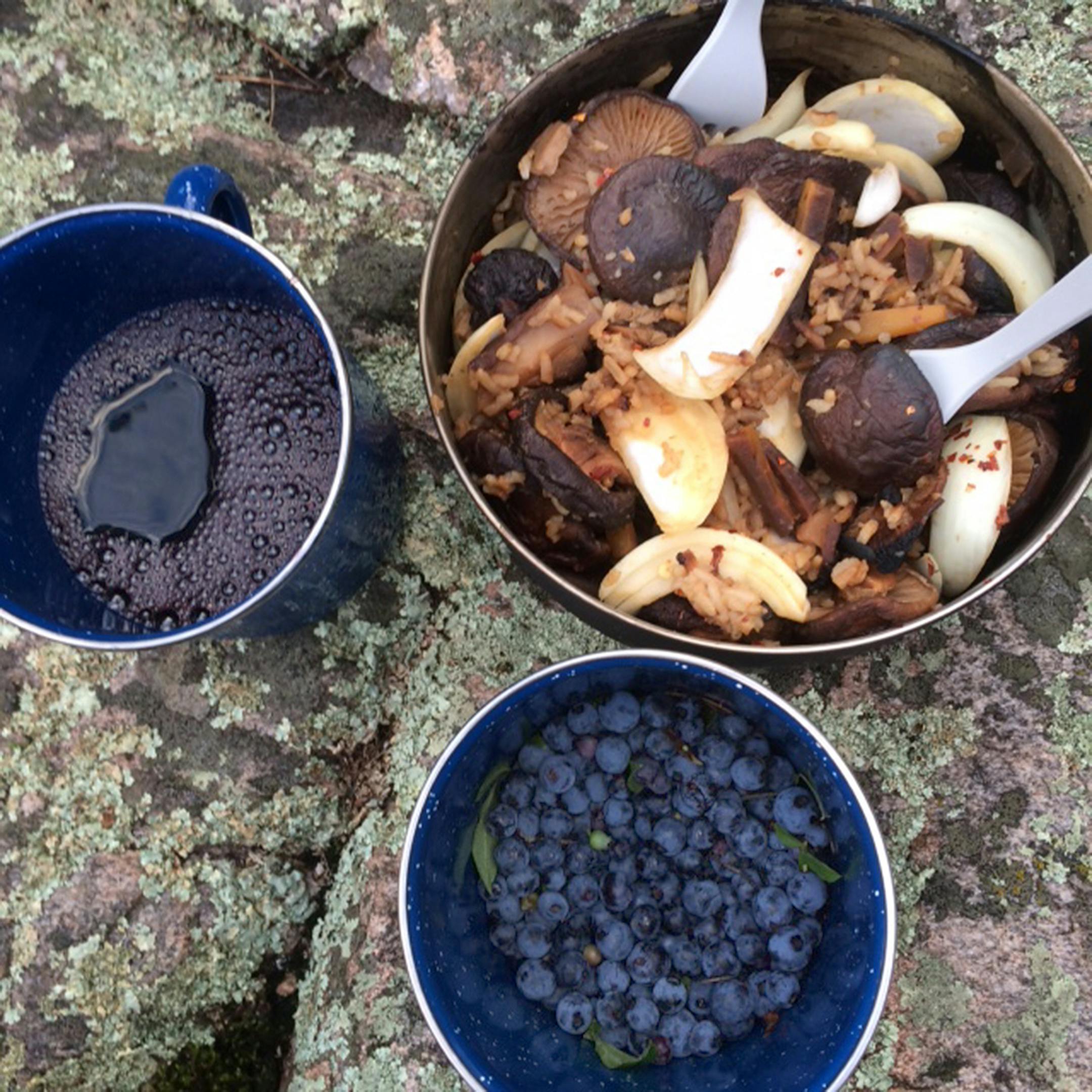 Dinner is served: rice, dehydrated mushrooms and onion, cooked over a camp fire with a side of wild blueberries and boxed wine.