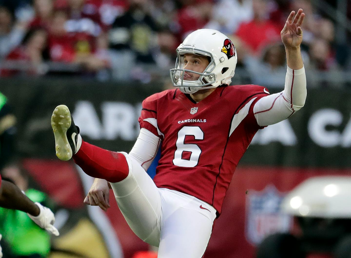 Punter Matt Wile was with the Cardinals in 2016, and released by the Steelers last weekend.