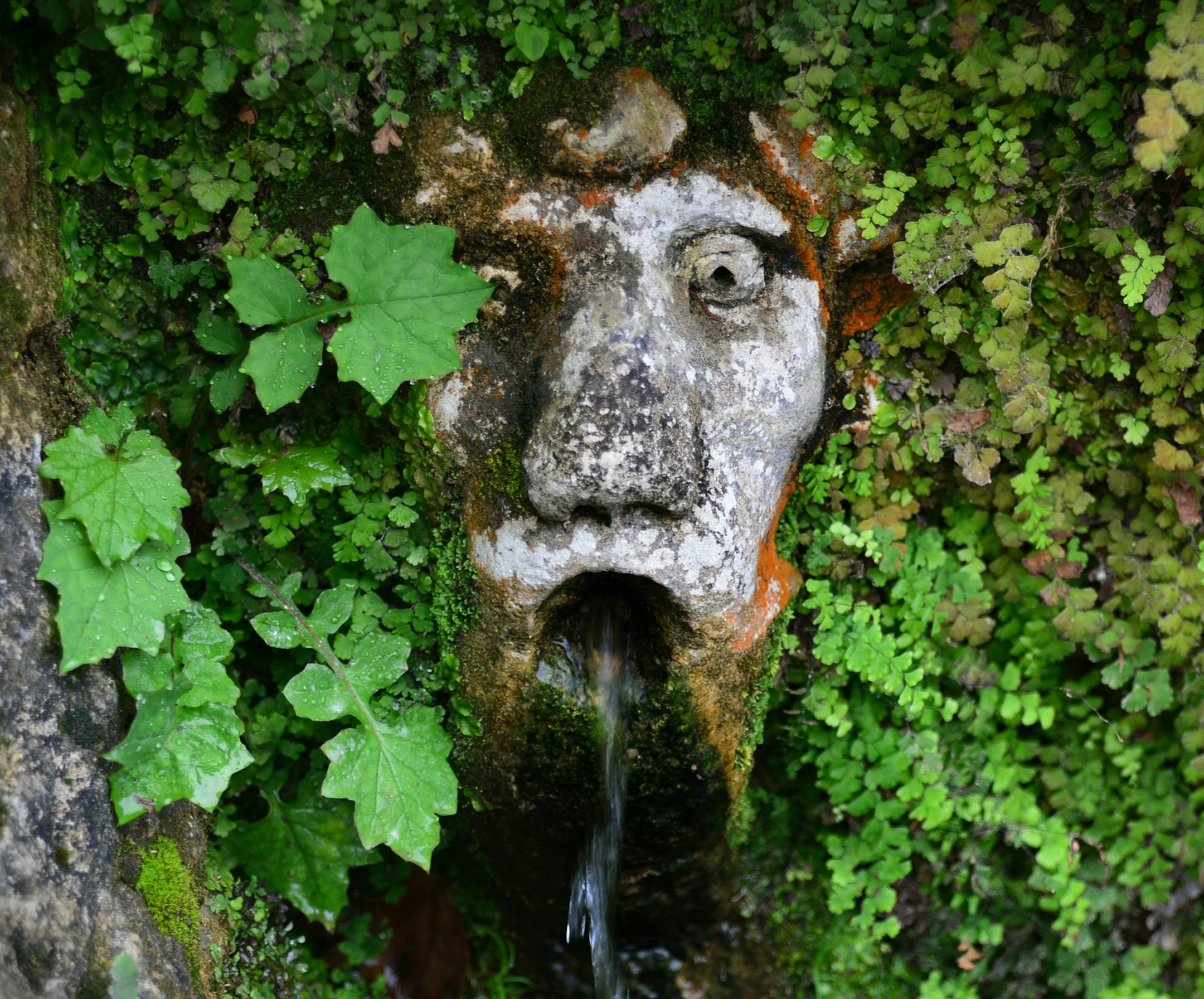 The Villa d'Este is a villa in Tivoli, near Rome, Italy. Listed as a UNESCO world heritage site, it features Renaissance architecture and Italian Renaissance gardens. The villa epitomizes the height of Renaissance culture and the gardens have influenced garden design world wide. There are hundreds of fountains and pools. Inside the villa there are also hundreds of frescoes which are painted from floor to ceiling. ] Richard.Sennott@startribune.com Richard Sennott/Star Tribune Tivoli Italy Tuesday