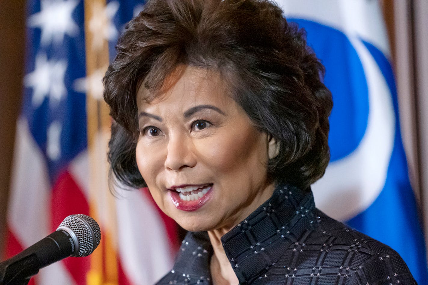 Transportation Secretary Elaine Chao, shown in 2019.