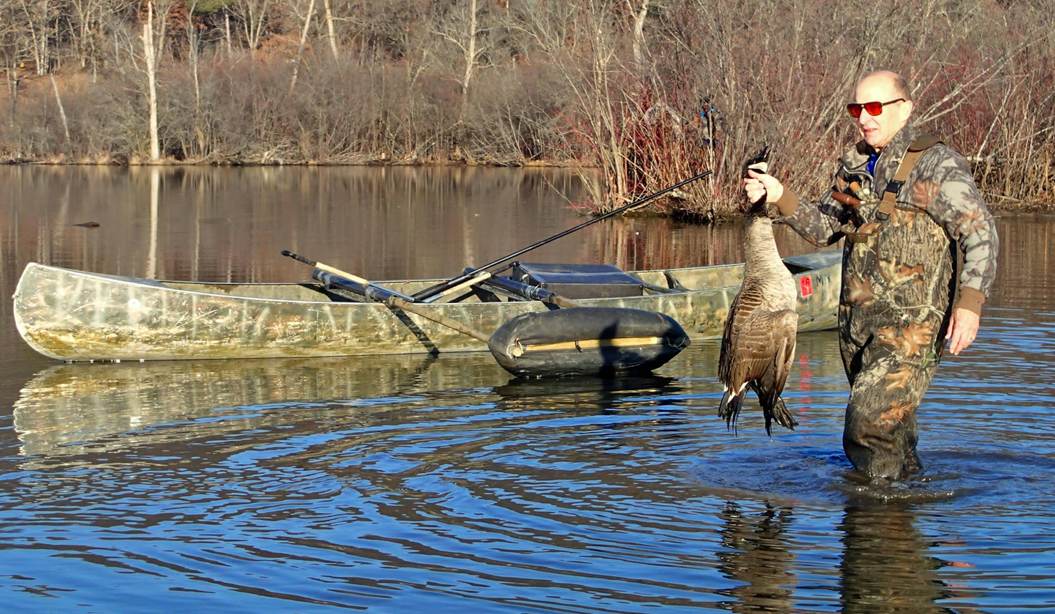 Wendell Diller retrieved a Canada goose — a Christmas goose — felled Wednesday morning during an atypically warm hunt.