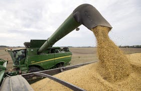 Mike Starkey offloads soybeans from his combine as he harvests his crops in Brownsburg, Ind., Friday, Sept. 21, 2018.The United States is scheduled to