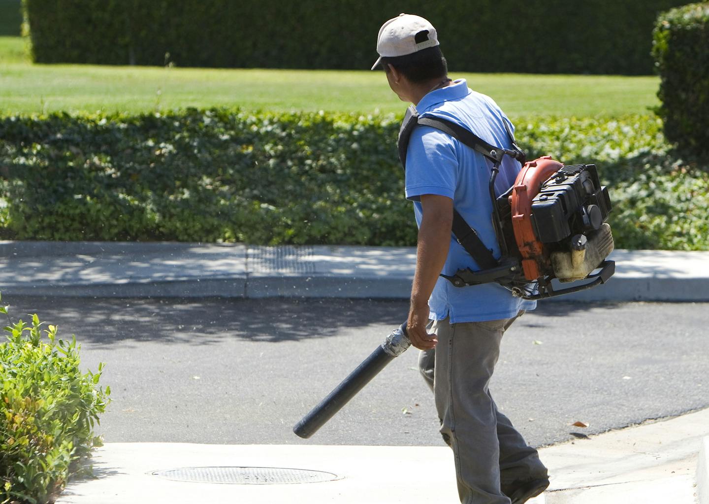 Go deals leaf blower