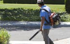 iStock
A gardner walking with a leaf blower.