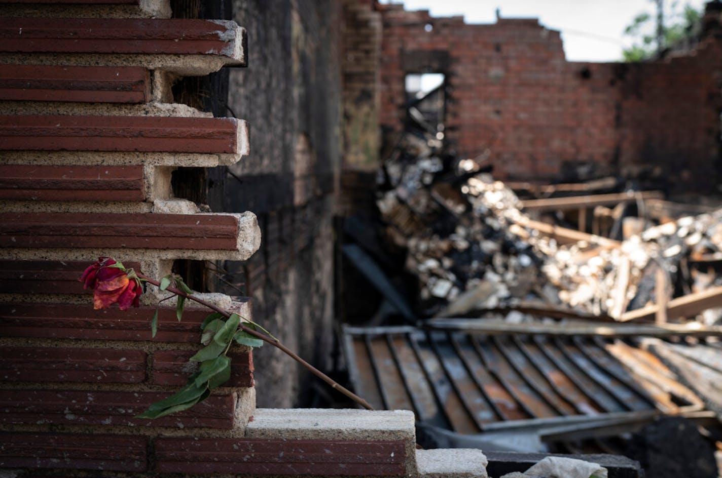 A rose was left at the burned-out ruins of Uncle Hugo's and Uncle Edgar's bookstores in Minneapolis. May 2020