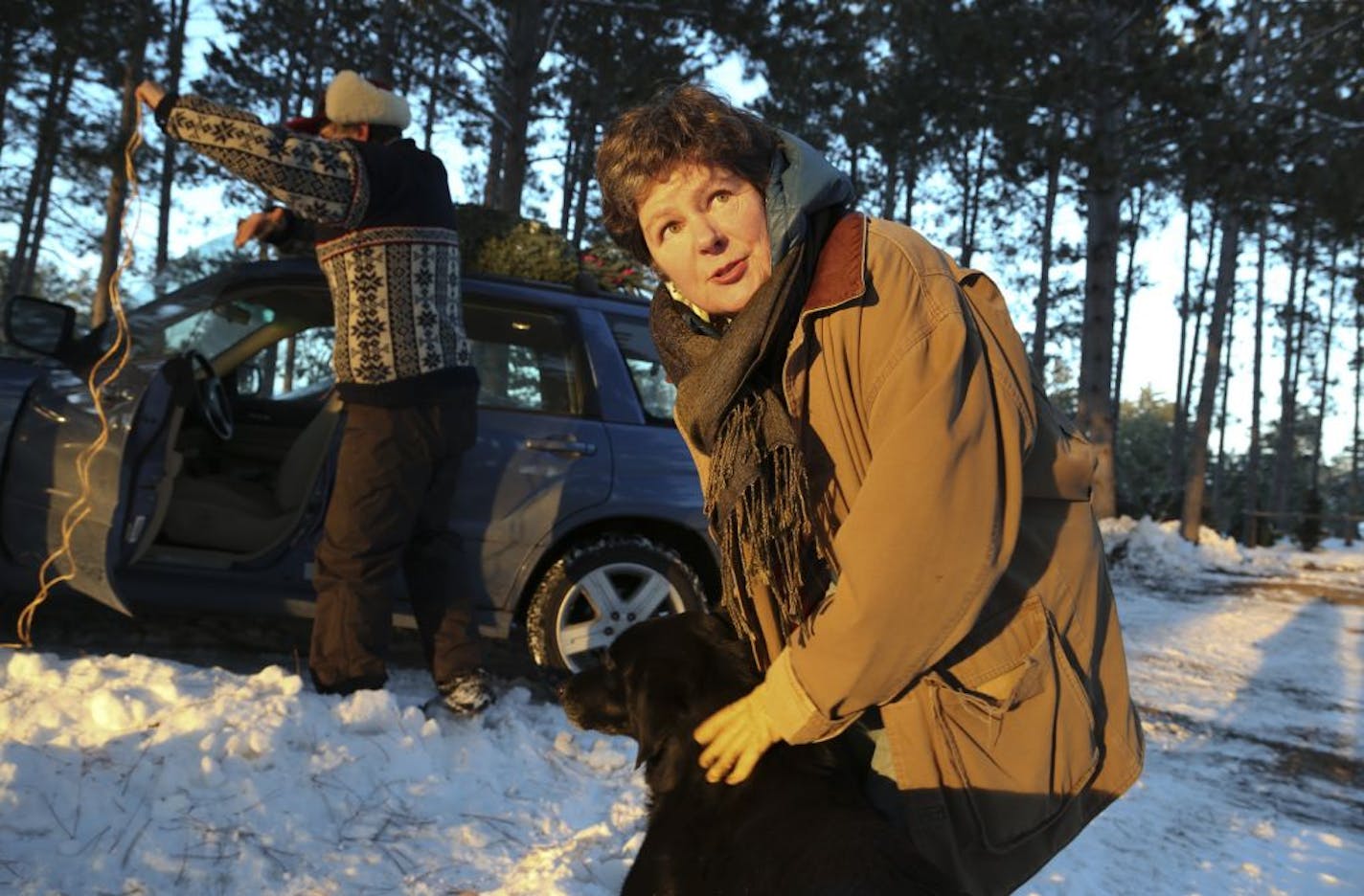 Mary Griffin played with the lab Caesar as co owner Mark Hansen tied her newly cut Christmas tree to her car at Hansen Tree Farm in Ramsey, Min., Thursday December 13, 2012. The farm is celebrating its 60th year anniversary this holiday season.