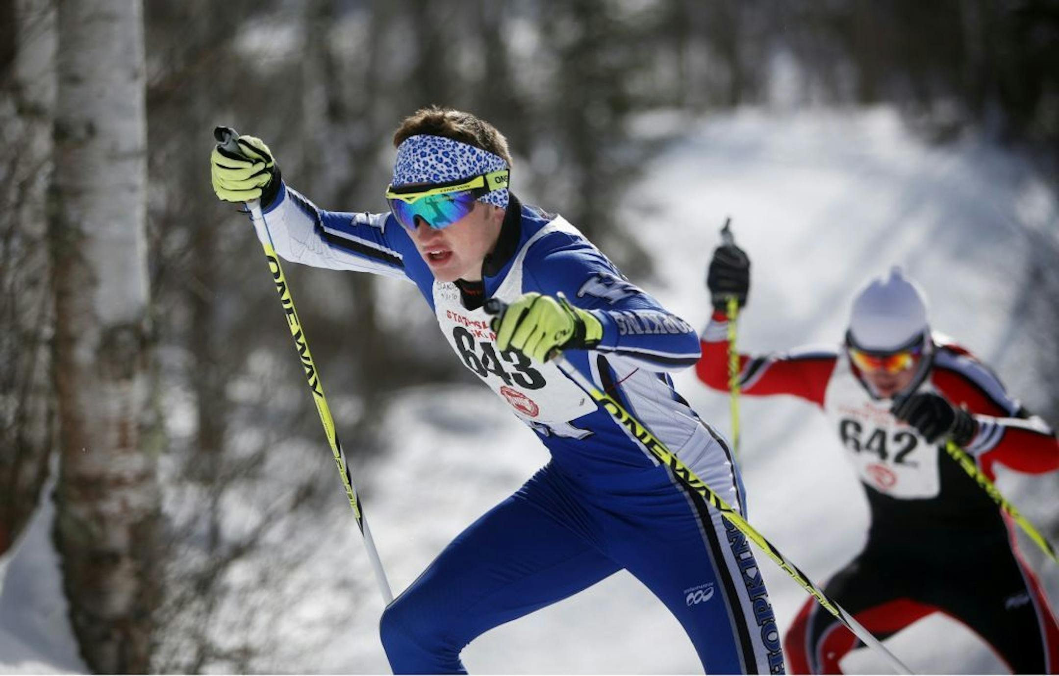 Jakob Ellingson of Hopkins won the freestyle and also took the classic en route to winning the boys' pursuit at the Nordic state ski meet.
