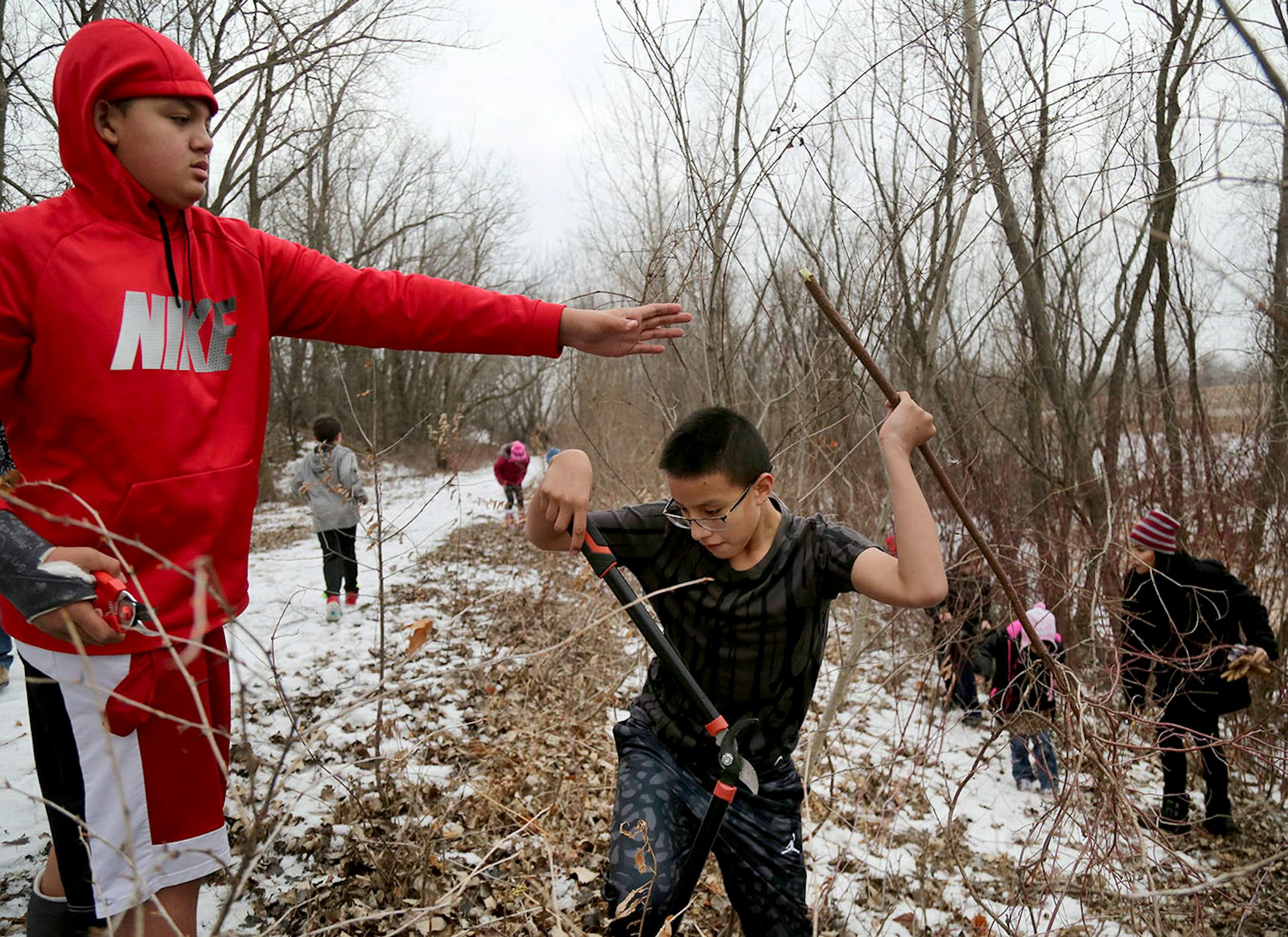 Lower Sioux Community member Tukan Eastman, 13, cuts red willow while getting a hand from Elijah Walker, 14, left.