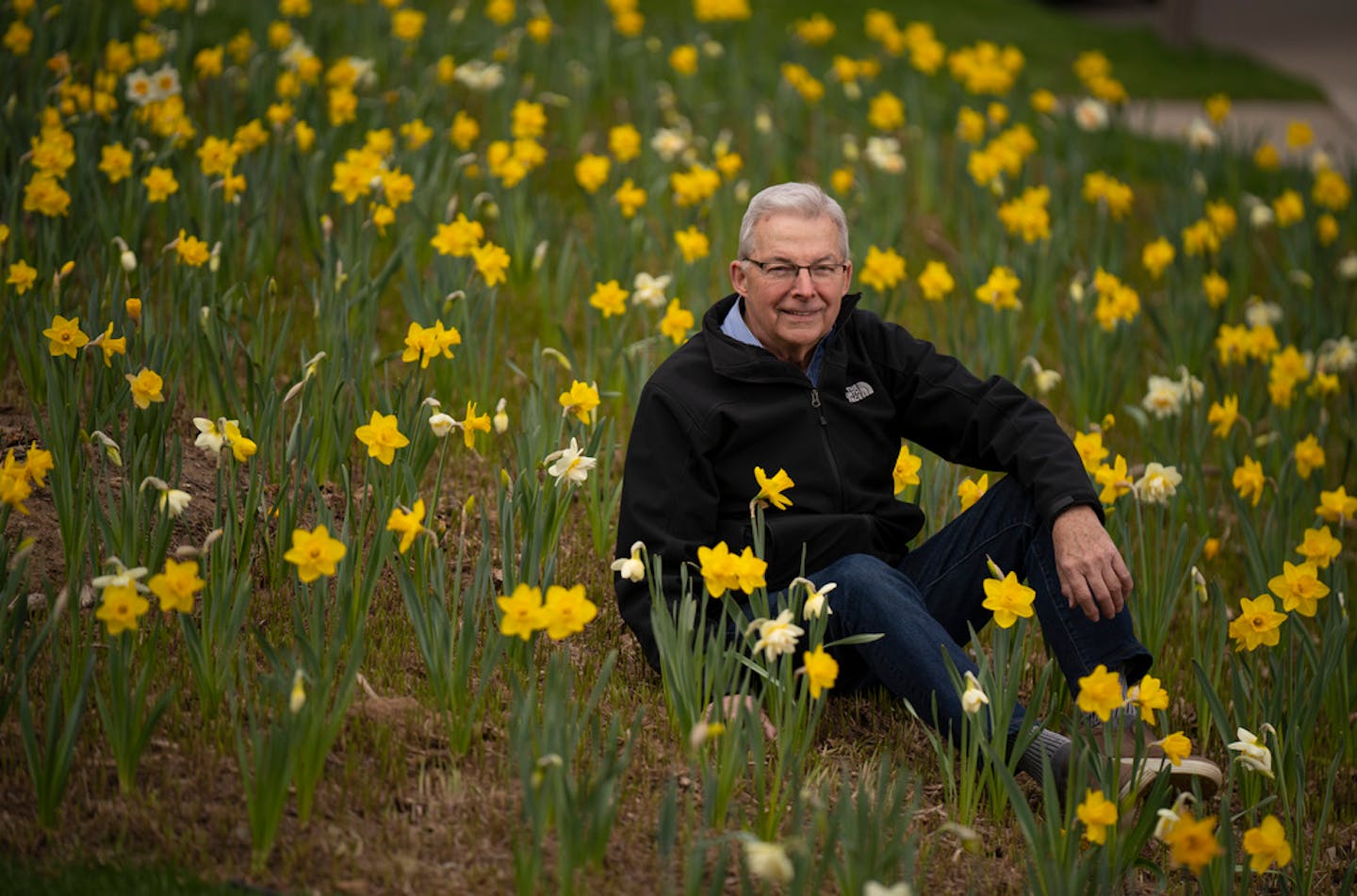 Warren Kapsner with a small portion of the daffodils he planted in his yard last year. ] JEFF WHEELER • jeff.wheeler@startribune.com