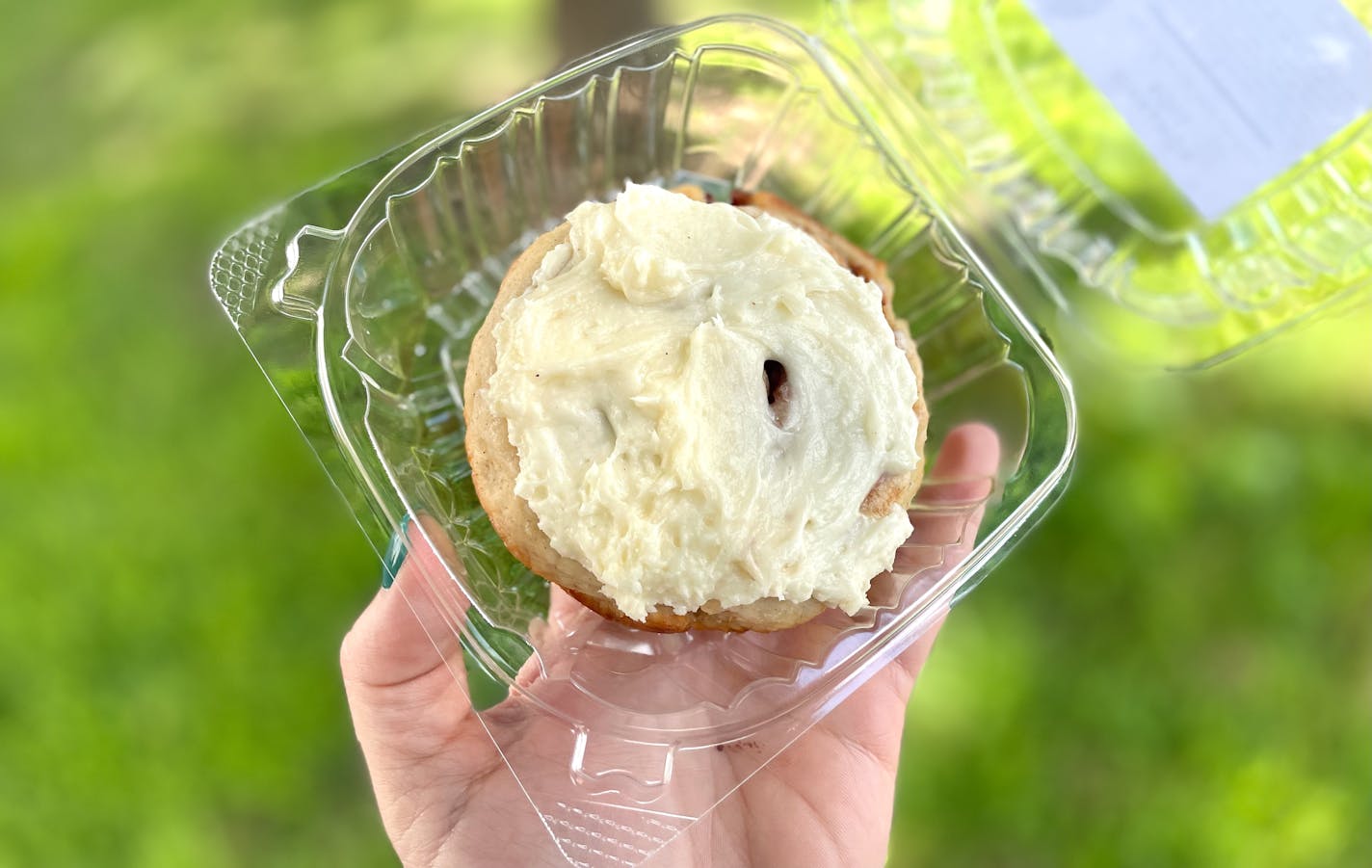 A cinnamon roll with frosting held up in front of a tree.