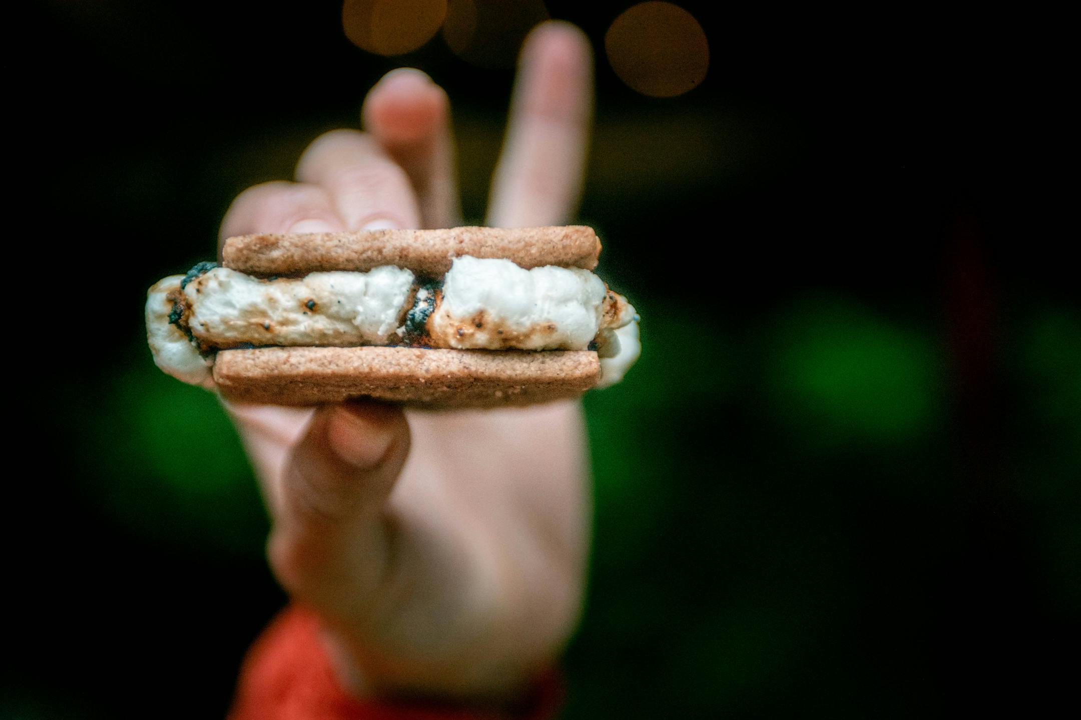 Provided: AdventurUs Women; North Mallow marshmallows and graham cracker s'more