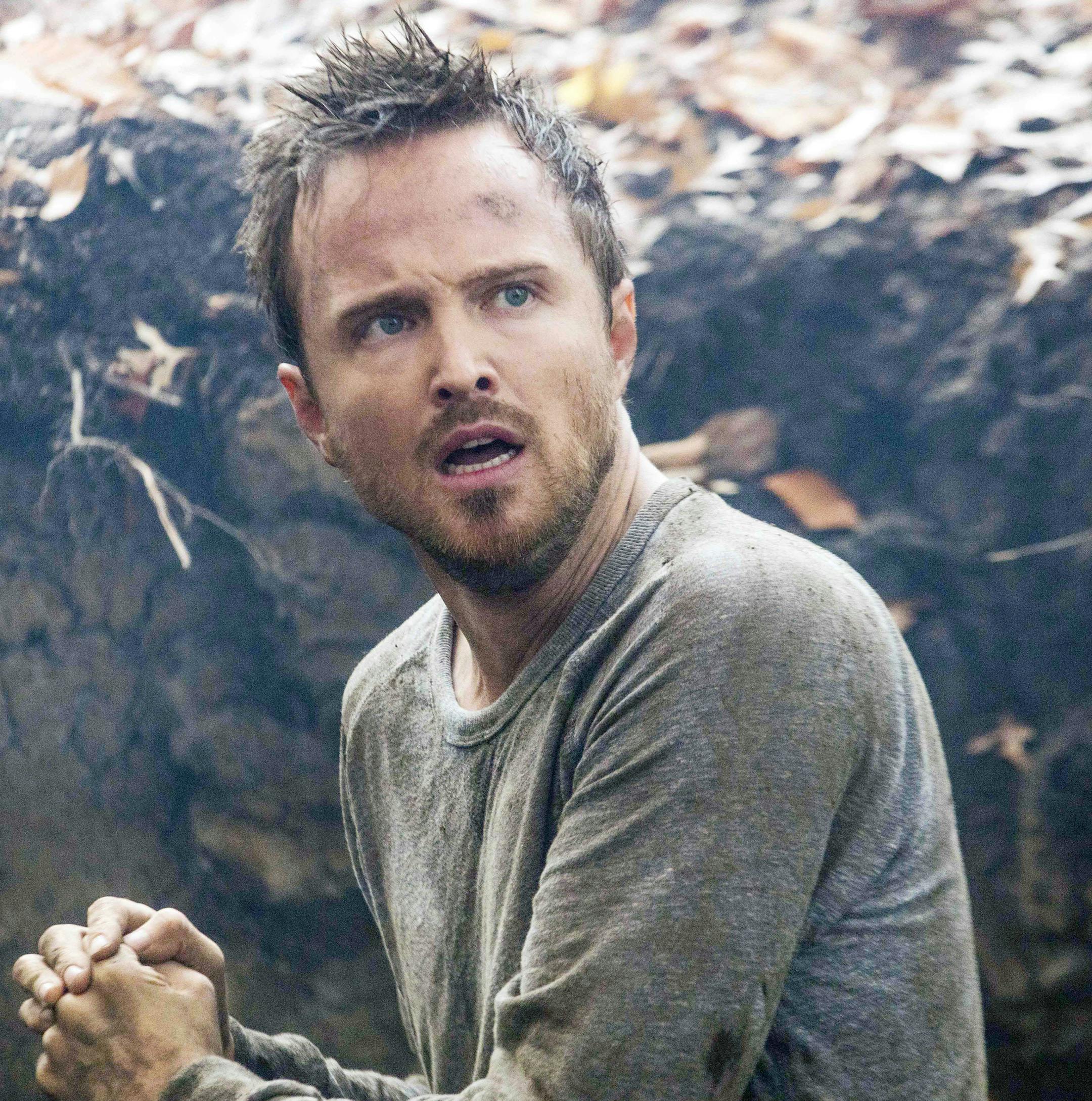 Aaron Paul, former star of "Breaking Bad," plays a conflicted husband in Hulu's thriller, "The Path," which begins streaming on March 30. (Handout/TNS) ORG XMIT: 1182259