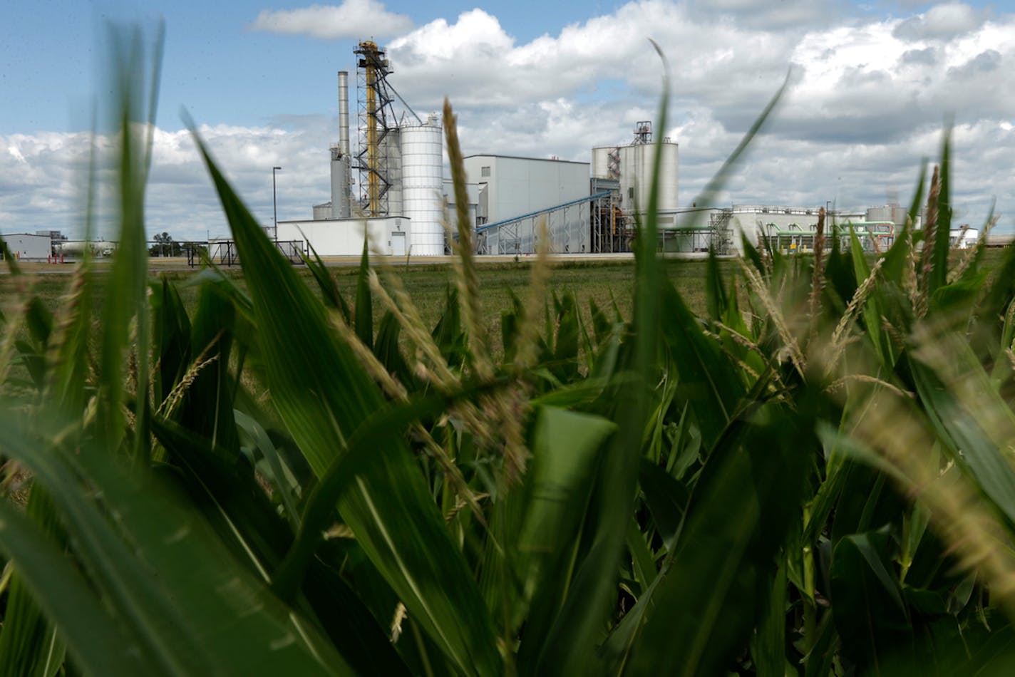 An ethanol plant next to a cornfield in Iowa, the nation's leader in ethanol production. Minnesota ranks fourth, behind Nebraska and Illinois.