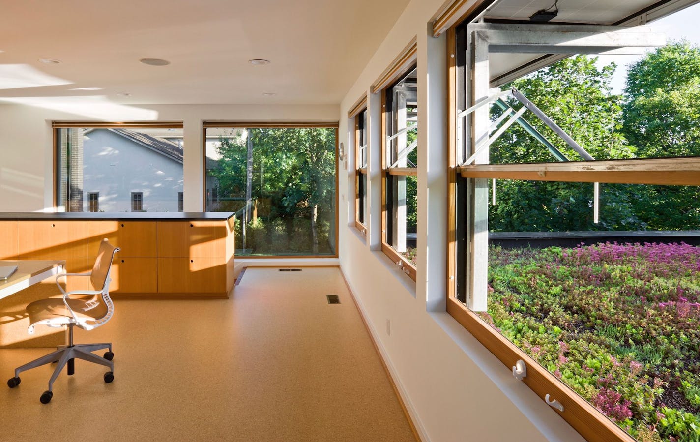 Author Melissa Rappaport Schifman built a sustainable home, which features a sedum-planted green roof, across from Cedar Lake.