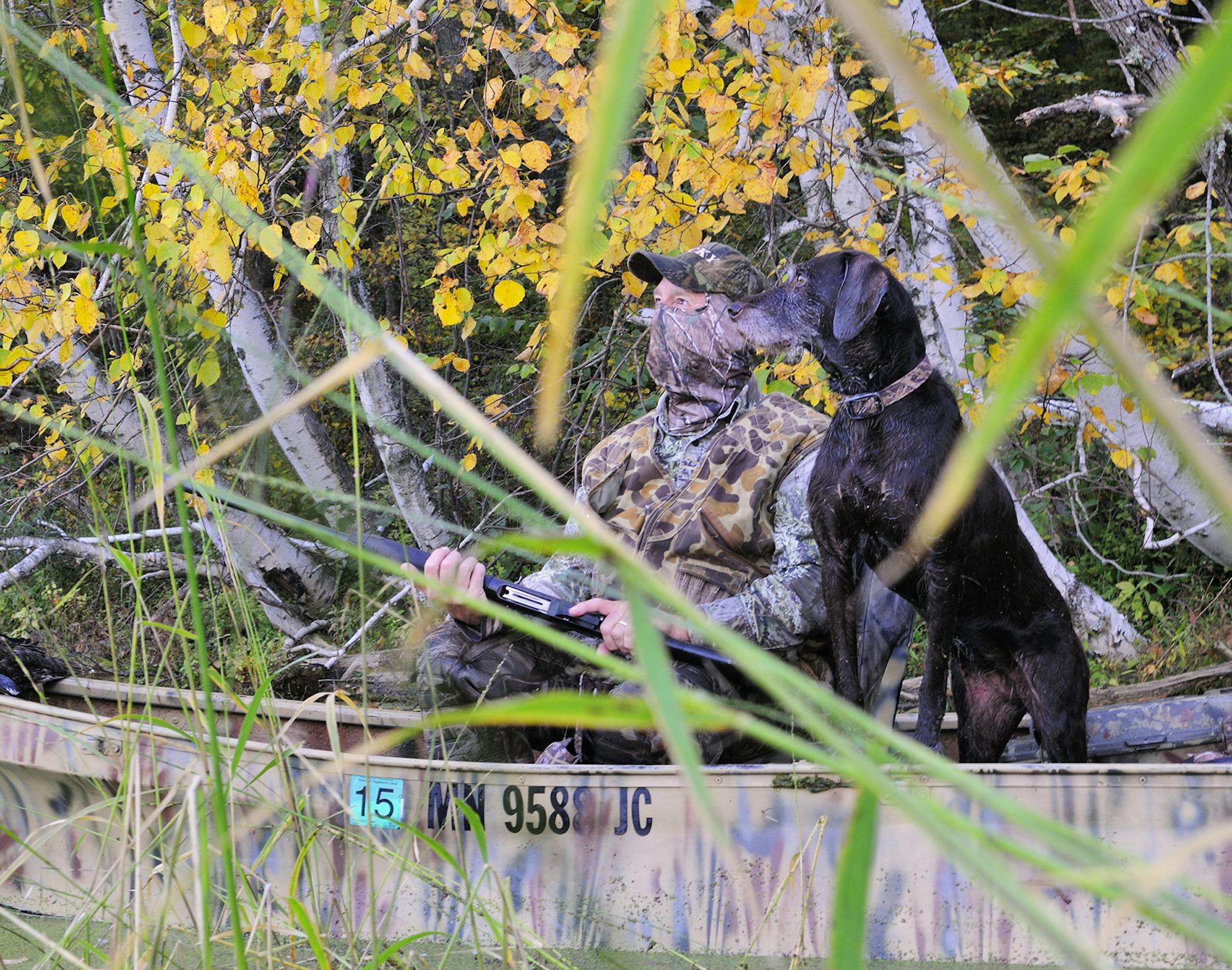 The 2014 duck opener was generally considered fair to good. An excellant wild rice crop in central Minnesota may have been a factor in the success.