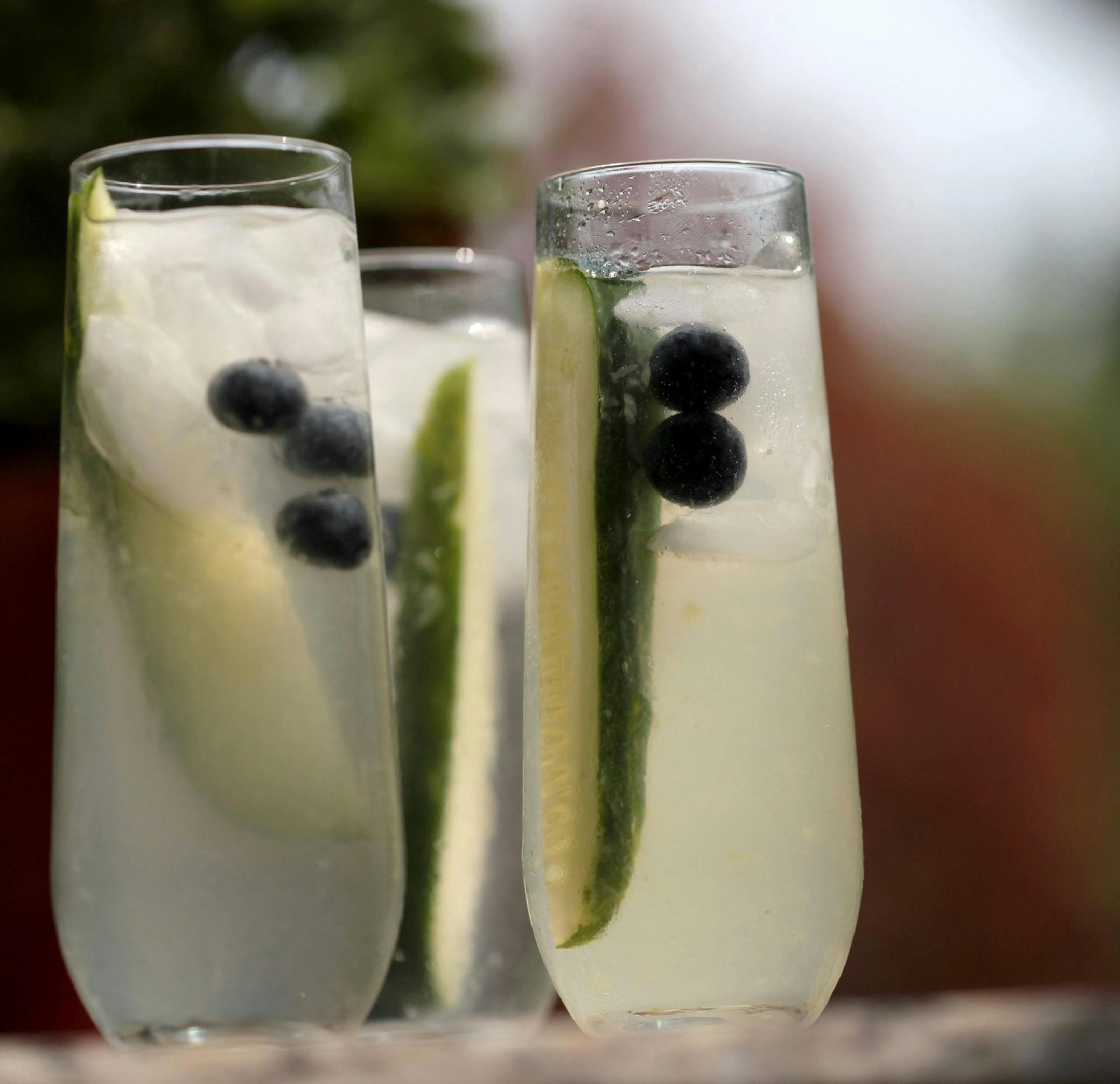 A good summer sip can make or break a party, say several Detroit Free Press readers who shared their favorite drink recipes like this cucumber Collins with blueberries. (Jessica J. Trevino/Detroit Free Press/MCT) ORG XMIT: 1141285