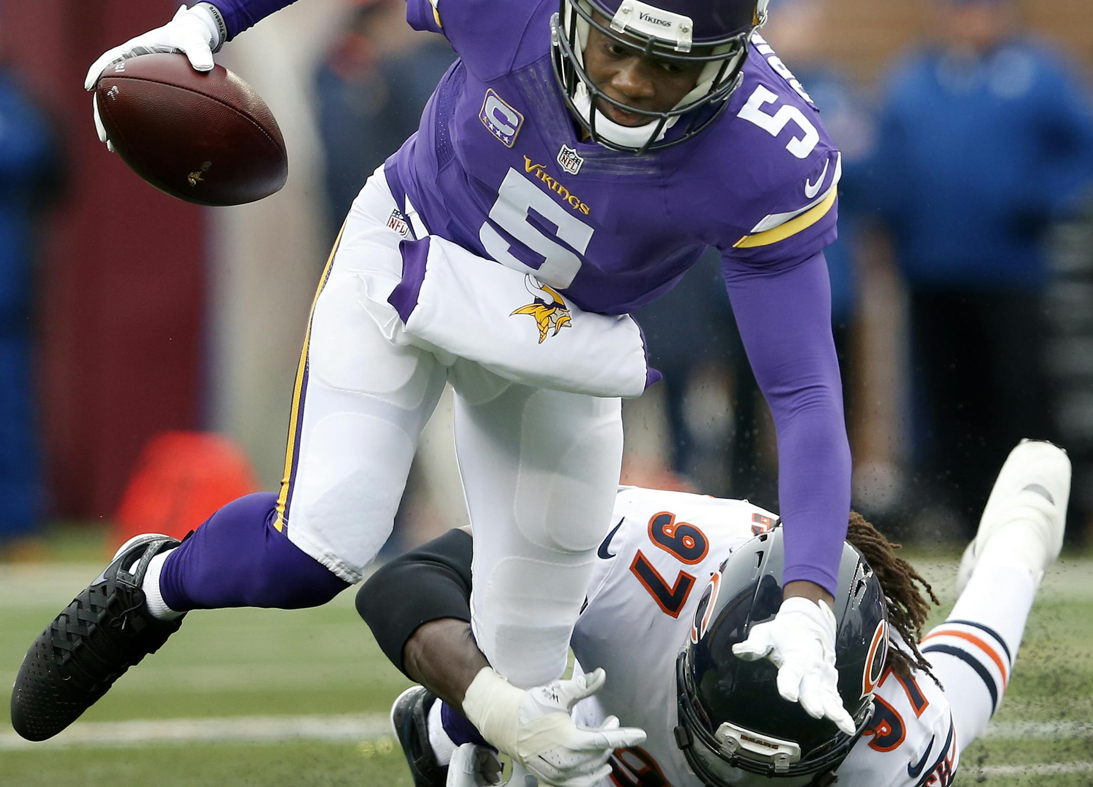 Teddy Bridgewater (5) was sacked by Willie Young (97) in the second quarter. ] CARLOS GONZALEZ ï cgonzalez@startribune.com - December 20, 2015, Minneapolis, MN, TCF Bank Stadium, NFL, Minnesota Vikings vs. Chicago Bears ORG XMIT: MIN1512201330040141