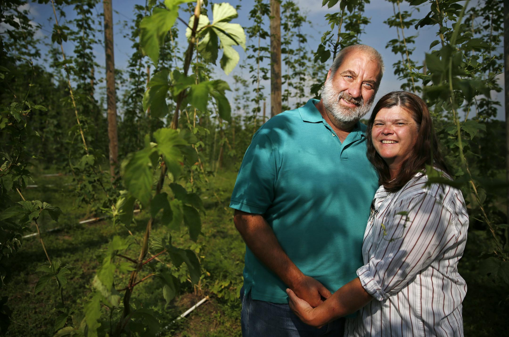 Hippity Hops Farm in Forest Lake is a growing hops farm business run by local residents George and Leah Shetka and provides to craft breweries in Minnesota and around the world. The couple began the business in 2008 to fill a 2-acre plot they got tired of mowing. A year ago they both found themselves unemployed and have been focusing all their attention on the hops farm and hops import business as the brewery industry in Minnesota continues to surge. ] tsong-taataarii@startribune.com