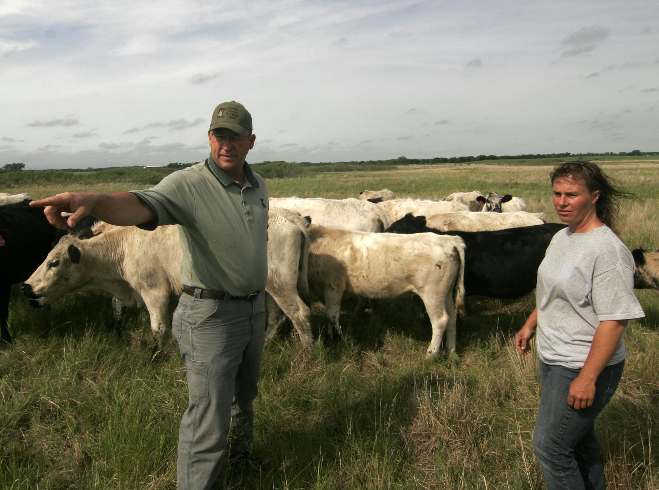 Fred Bengtson, DNR area wildlife manager, talked with cattle owner Christina Traeger last week at a state wildlife management area in Stearns County, where Traeger’s herd is being used to mimic the beneficial effects bison had on the prairie.