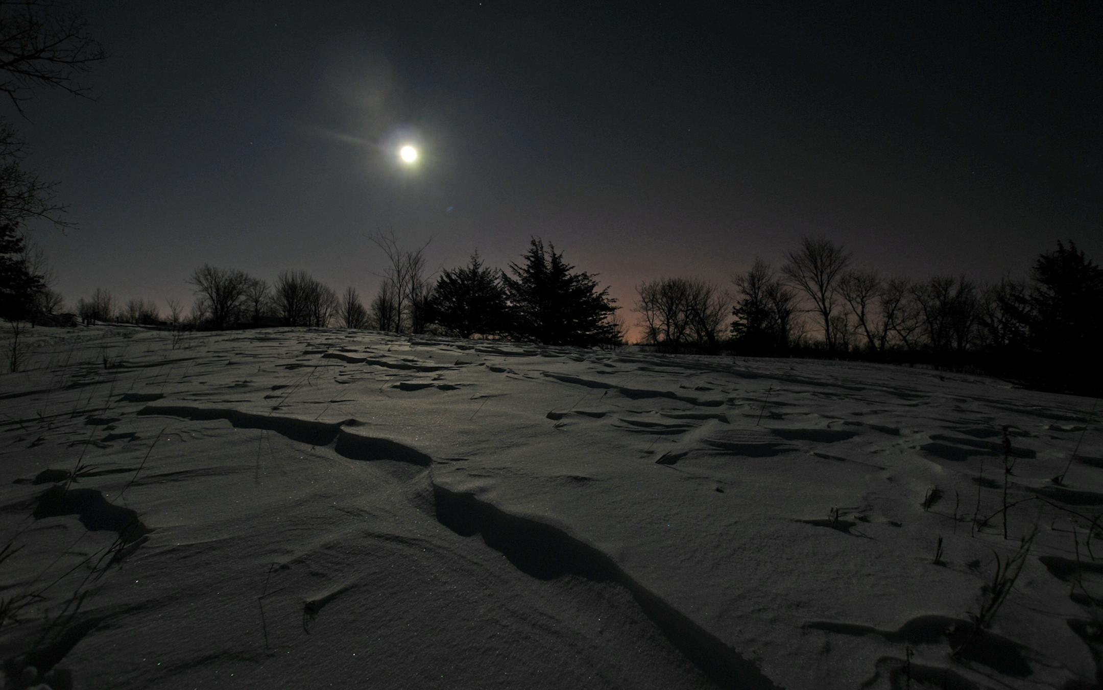 Three Rivers Park District/Derek J. Dickinson: A moonlight park walk in the winter. Photo taken at Crow-Hassan Park Reserve.