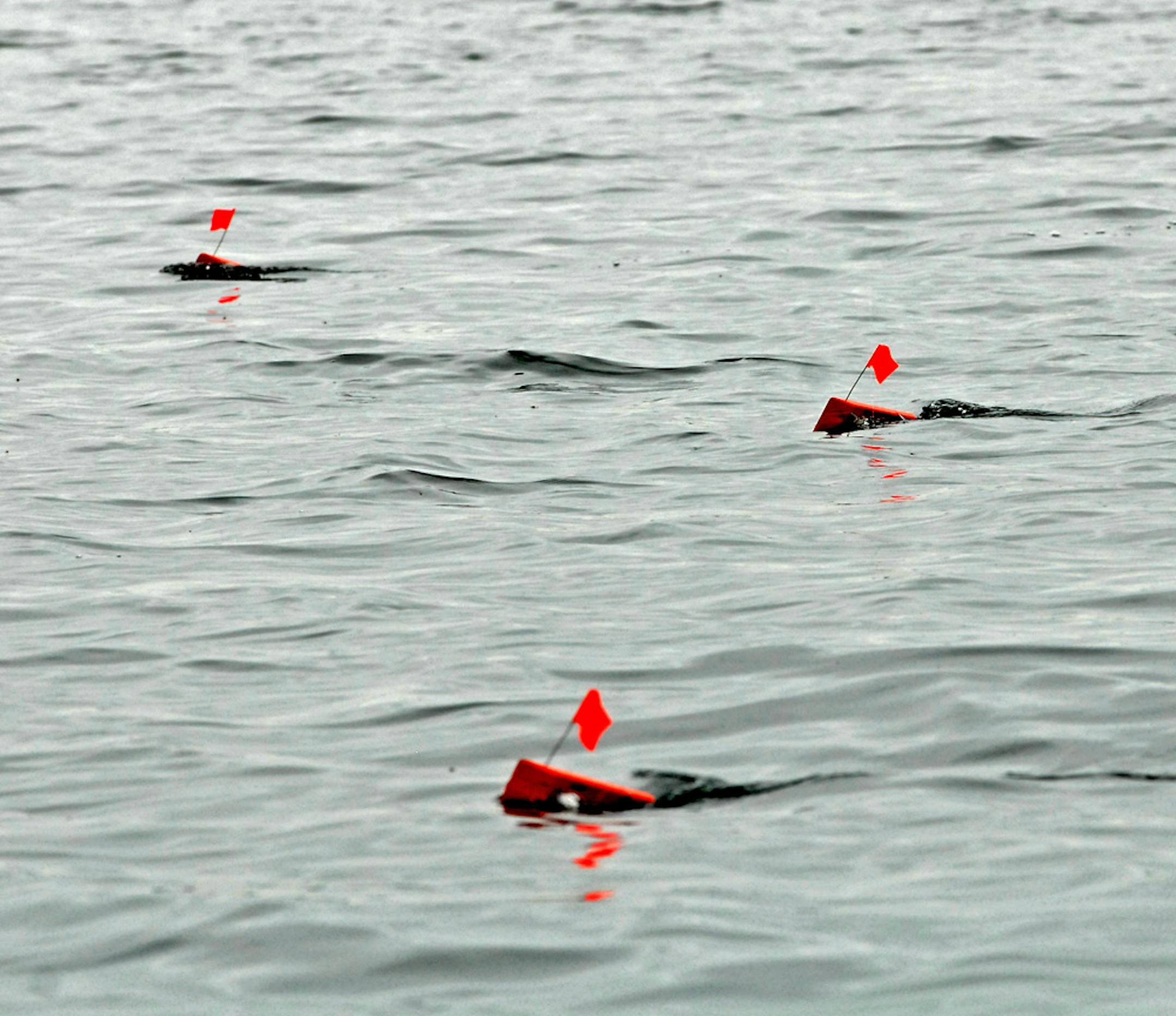 Three planing boards off to the starboard side of Gary Gehrman's boat show the location of three crankbaits being trolled at about one-half mile an hour in about 20 feet of water.