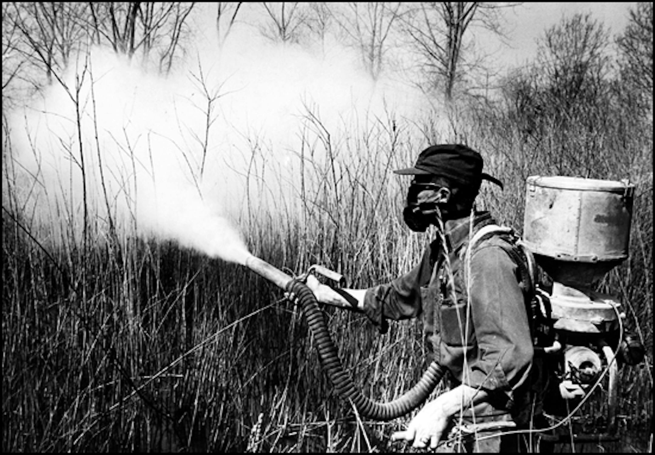 1965: Mosquito spray