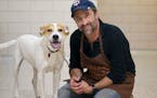 Actor JC Cutler works with Animal Humane Society to prepare dogs for adoption.
Photo by Laurie Schneider for Animal Humane Society