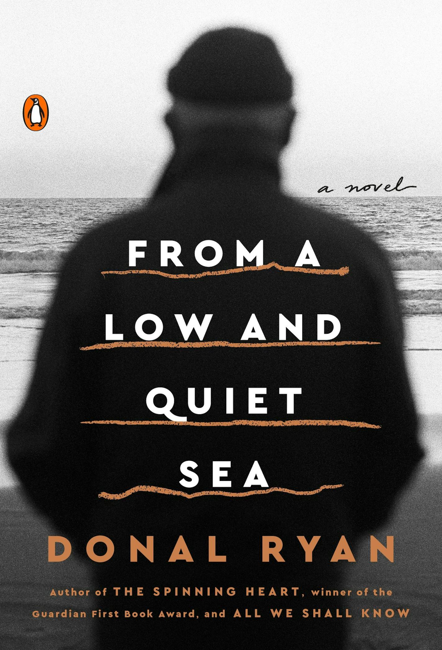 From a Low and Quiet Sea, by Donal Ryan