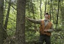 Troy Holcombe, a forester with the Minnesota Department of Natural Resources, looked for tamarack trees damaged by larch beetles. The native bugs&#x20