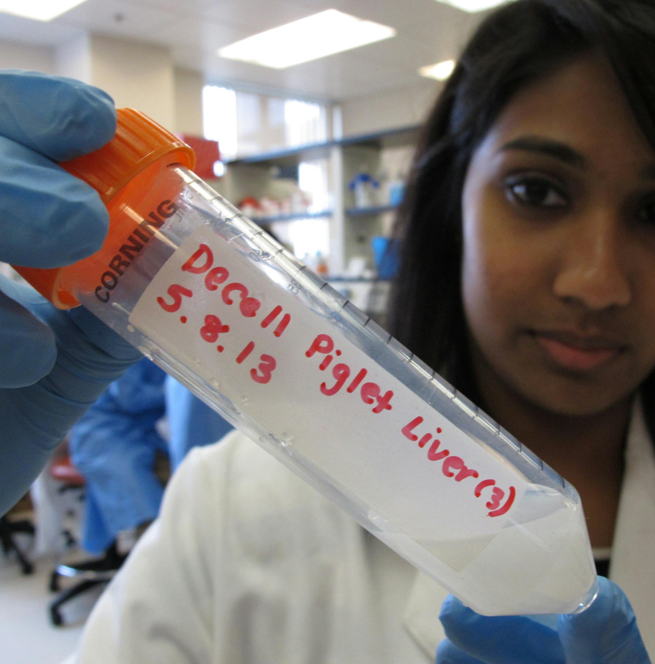 Researcher Abritee Dhal held a test tube containing pieces of “decelluralized”