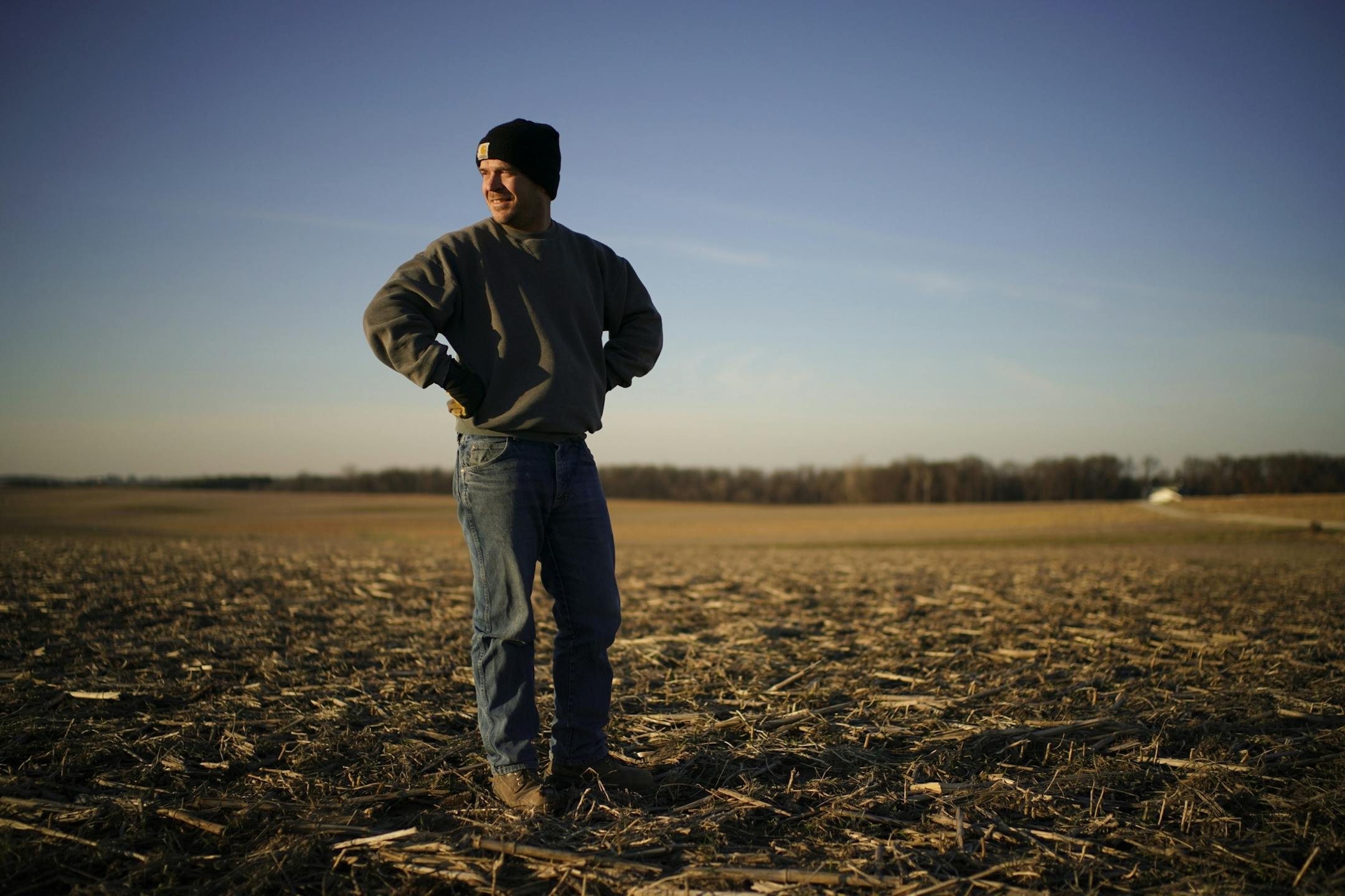 The cover crop of winter rye is beginning to emerge from the soil after soybeans were harvested by Martin Larsen on the land he farms near Byron. Corn stalks can still be seen from the corn that was planted in the field two seasons ago.