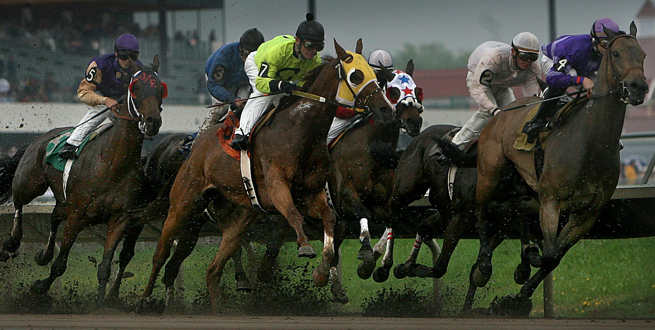 JIM GEHRZ • jgehrz@startribune.com
Shakopee/May 2007/1:35PM
Mud flies in the air as horses and jockeys round the first turn during the first horse race of the year on opening day at Canterbury Park in Shakopee. Despite early rains, thousands of racing fans turned out to enjoy the afternoon which featured 9 live races.