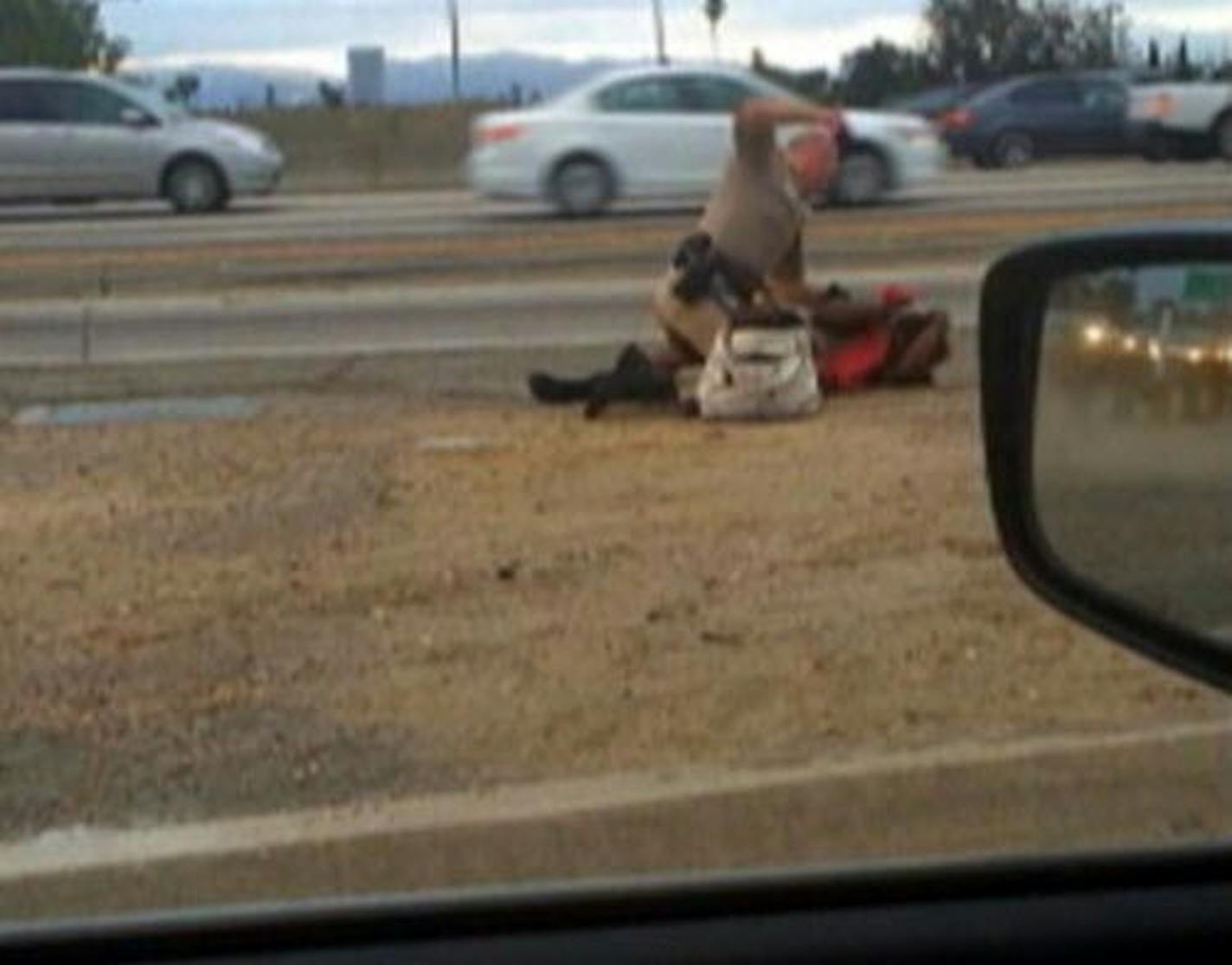 In this July 1, 2014 image made from video provided by motorist David Diaz, a California Highway Patrol officer straddles a woman while punching her in the head on the shoulder of a Los Angeles freeway.