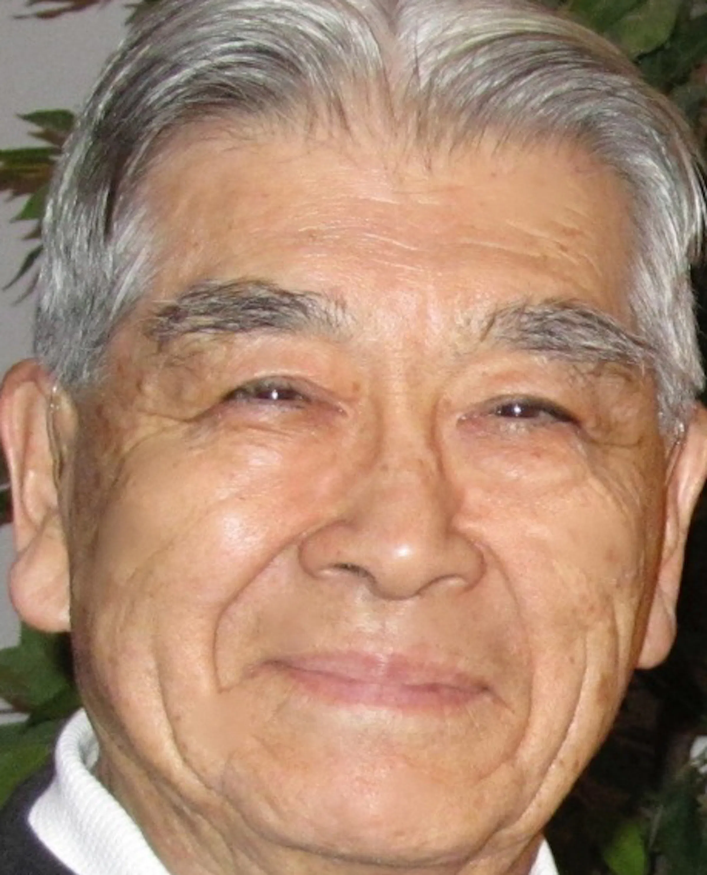 Obituary: From Japanese internment camp to neighborhood rejection, Isao ...