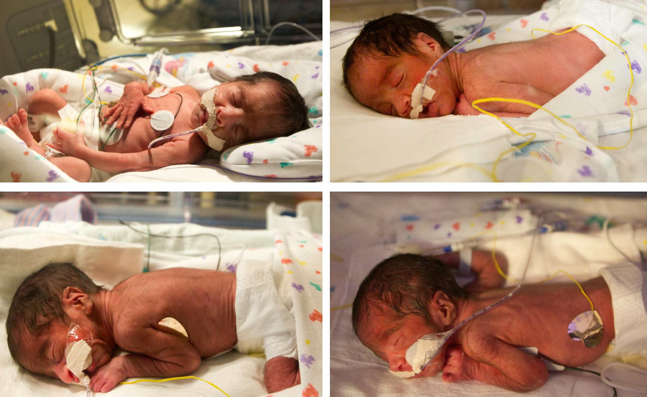 Tressa Montalvo delivered two sets of identical twin boys on Thursday, Feb. 14, 2013, Valentine's Day, at The Woman's Hospital of Texas in Houston. Montalvo delivered sons Ace, top left, and Blaine, top right, at 8:51 a.m. Sons Cash, bottom left, and Dylan arrived a minute later. Ace weighed 3 pounds, 10 ounces, and Blaine weighed in at 3 pounds, 15 ounces. Cash weighed in at 2 pounds, 15 ounces, and Dylan at 3 pounds, 6 ounces. Montalvo says she and her 43-year-old husband, Manuel, planned the