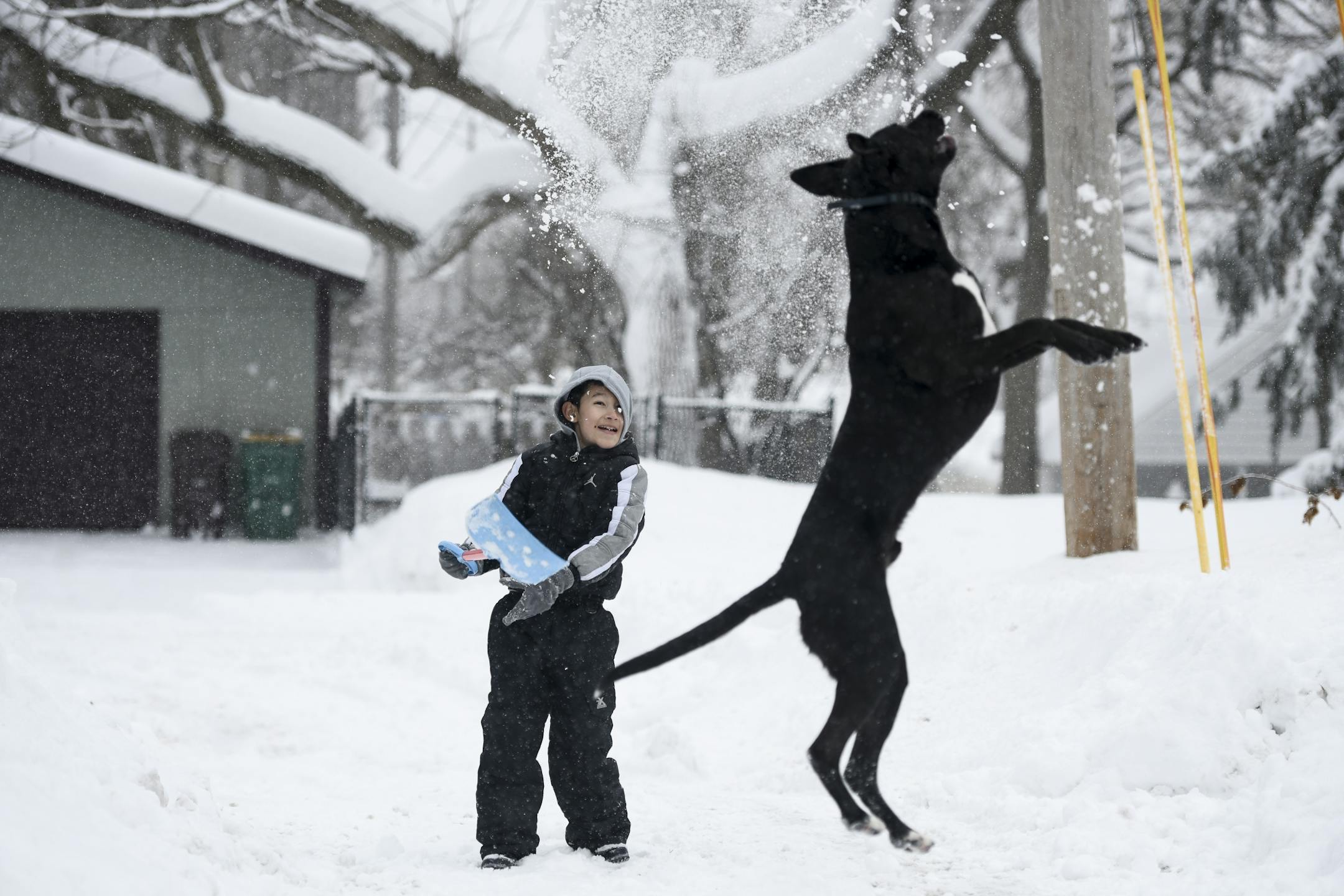 Jayden Garcia, 10, took advantage of Wednesday's snow day to play with his dog, Milo, 2, in the alley behind his Robbinsdale home Wednesday.