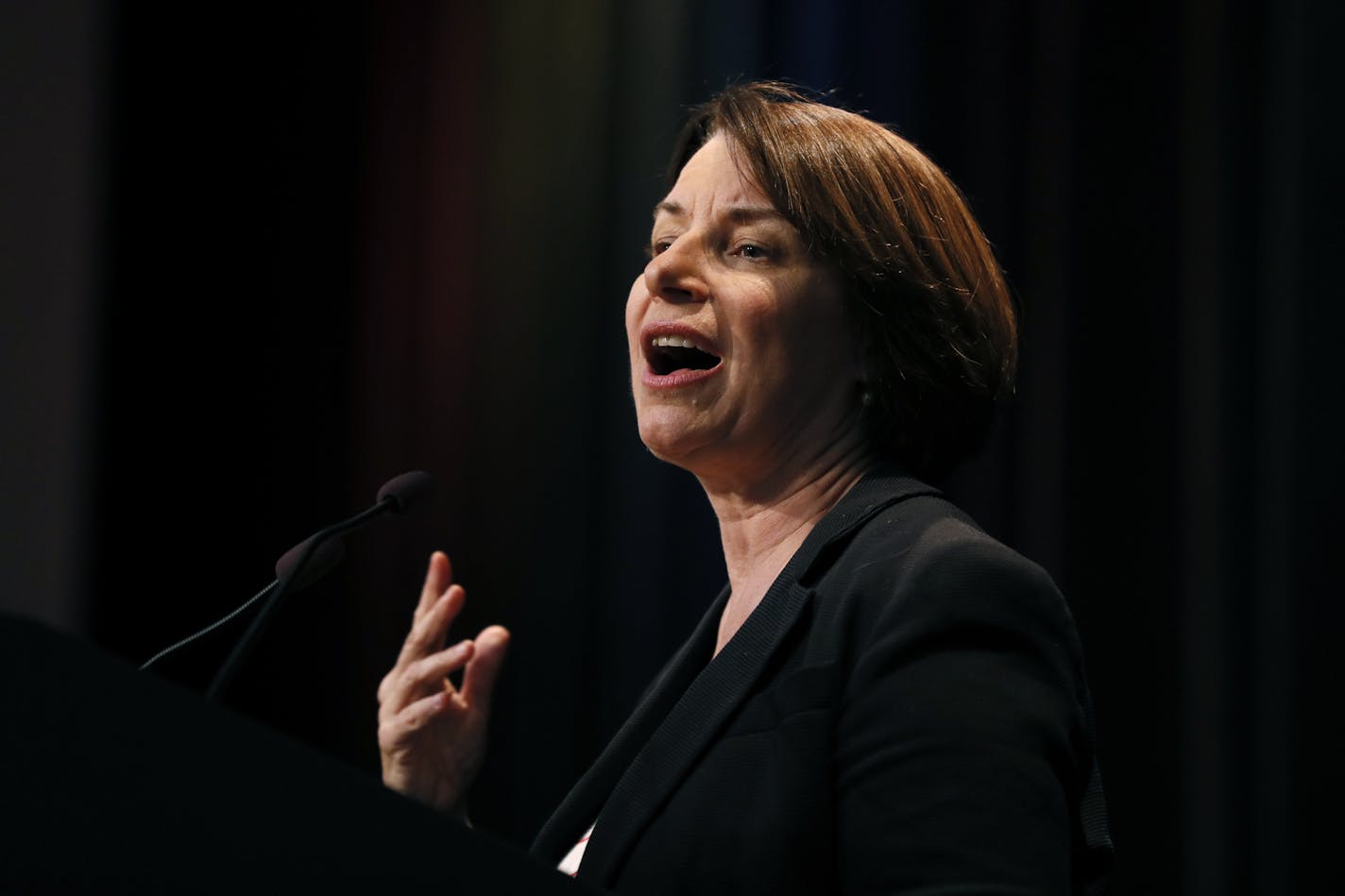 Democratic presidential candidate Sen. Amy Klobuchar, D-Minn., speaks at the Iowa Federation of Labor convention on Aug. 21 in Altoona, Iowa. (AP Photo/Charlie Neibergall)