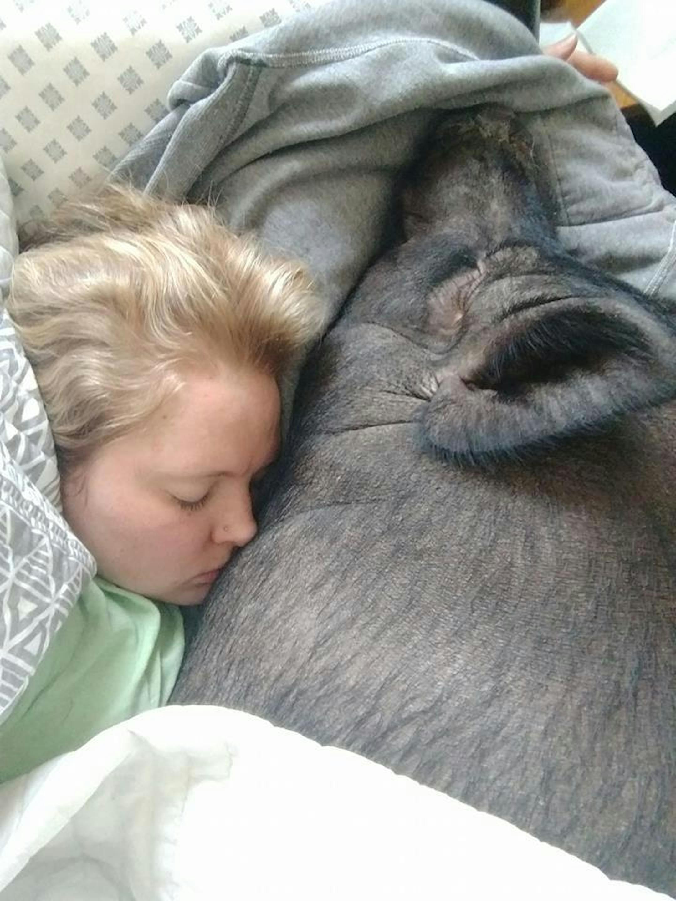 Madeline Exline snuggles with Lucy, her 215-pound potbellied pig. ORG XMIT: AbUYaxplOvc1jdefVIJI