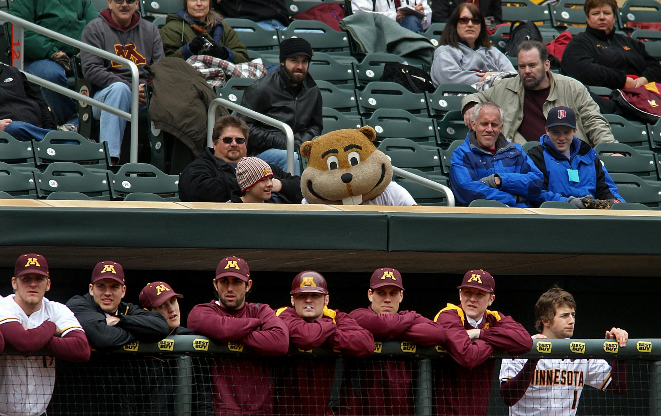 Fans, including Goldy Gopher, were bundled up to keep warm as the watched the game, along with Gopher players in the dugout.