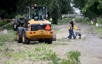 Two people walked by as a crew from the St. Paul parks and recreation department removed ash trees along Juno Avenue Thursday, Aug. 2, 2018, in St. Pa