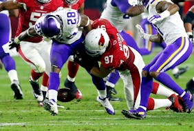 Minnesota Vikings running back Adrian Peterson (28) fumbles after being hit by Arizona Cardinals nose tackle Josh Mauro (97) during the second half of